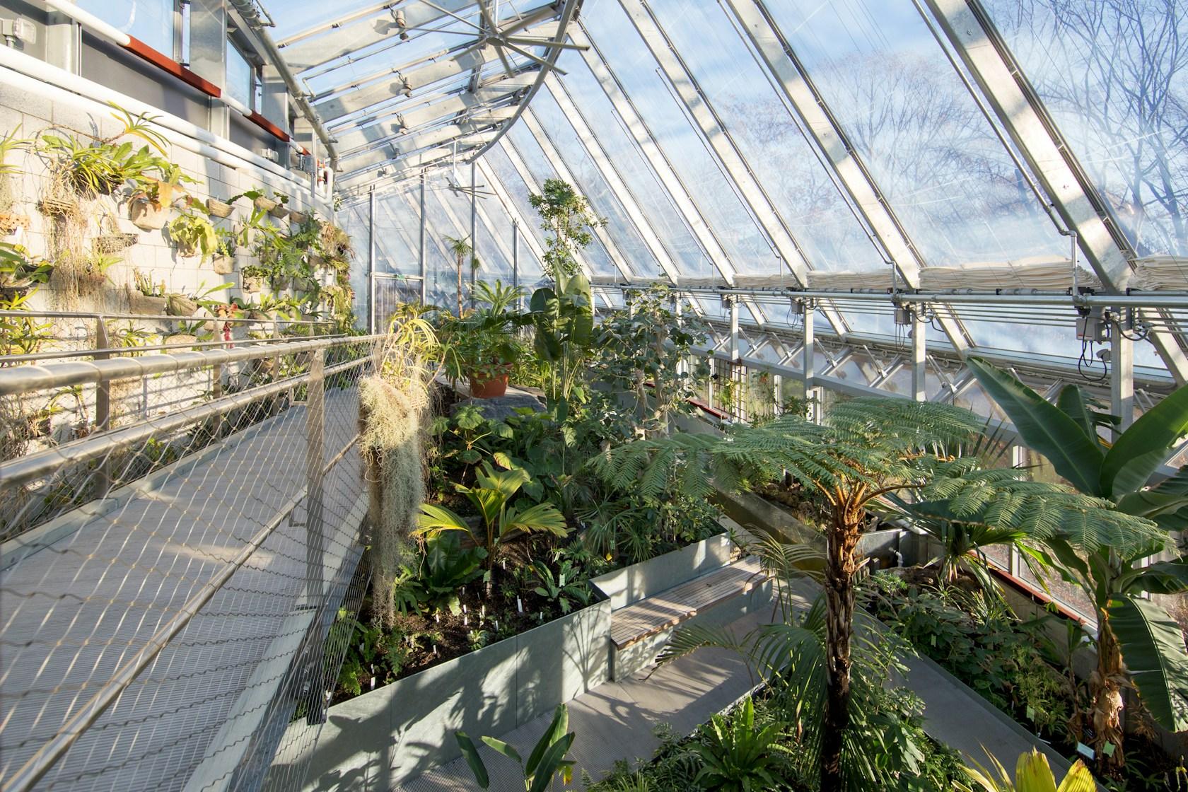 Global Flora Conservatory - image 9