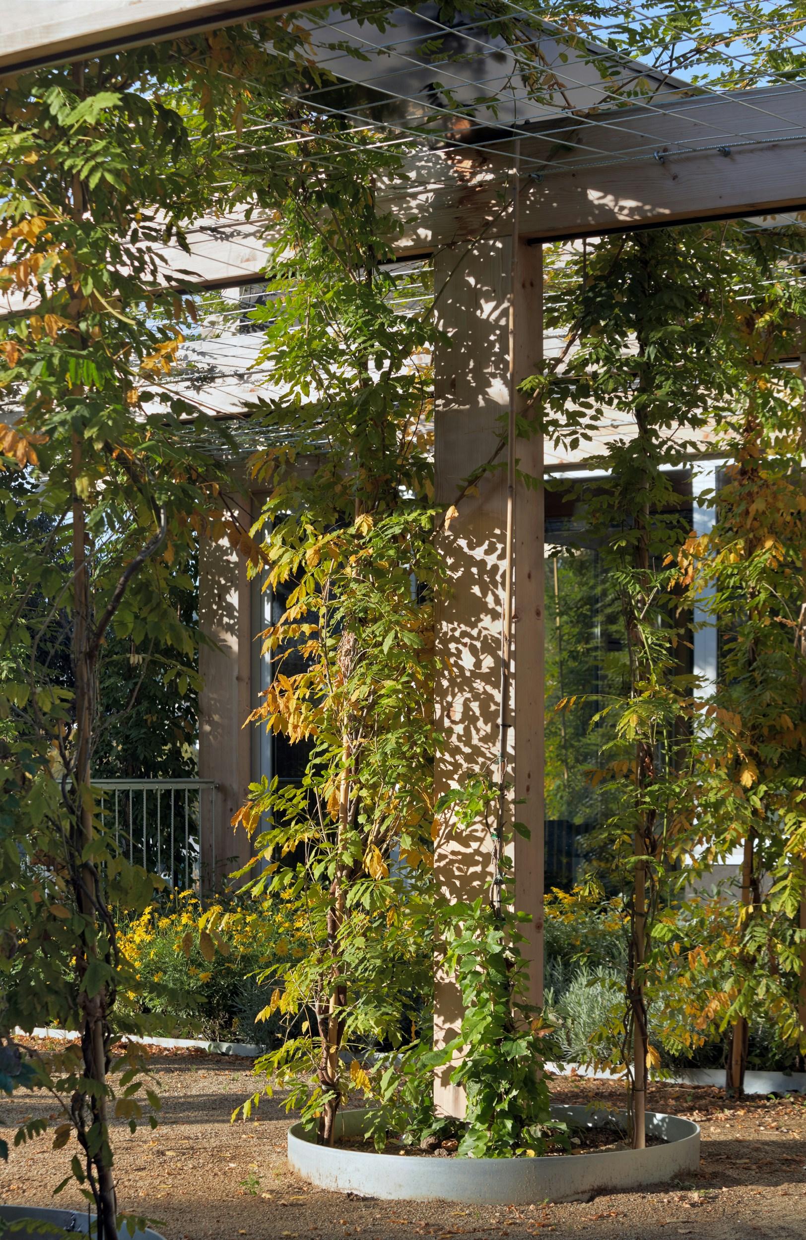 CAN BADELL YOUTH CENTER - image 4