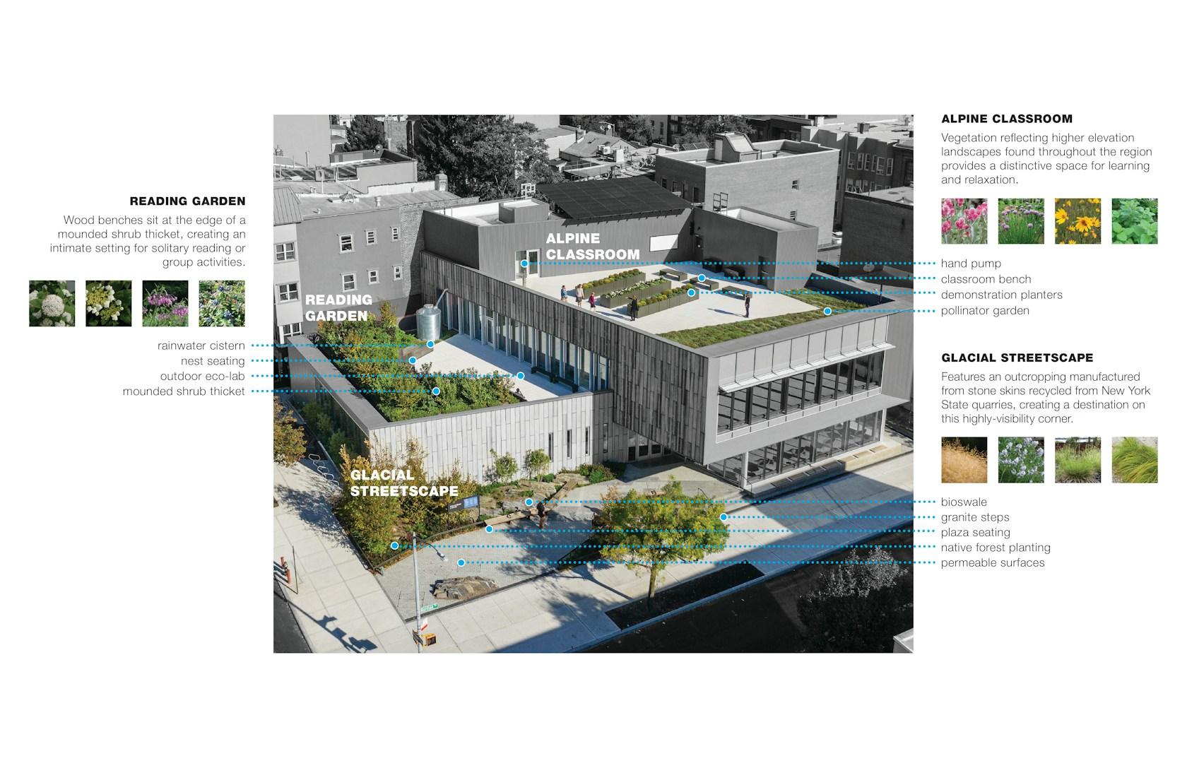 Greenpoint Library and Environmental Education Center - image 12