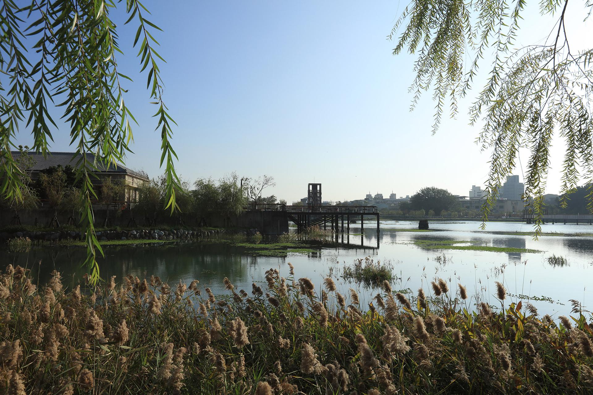 Yong Quan Park - image 6