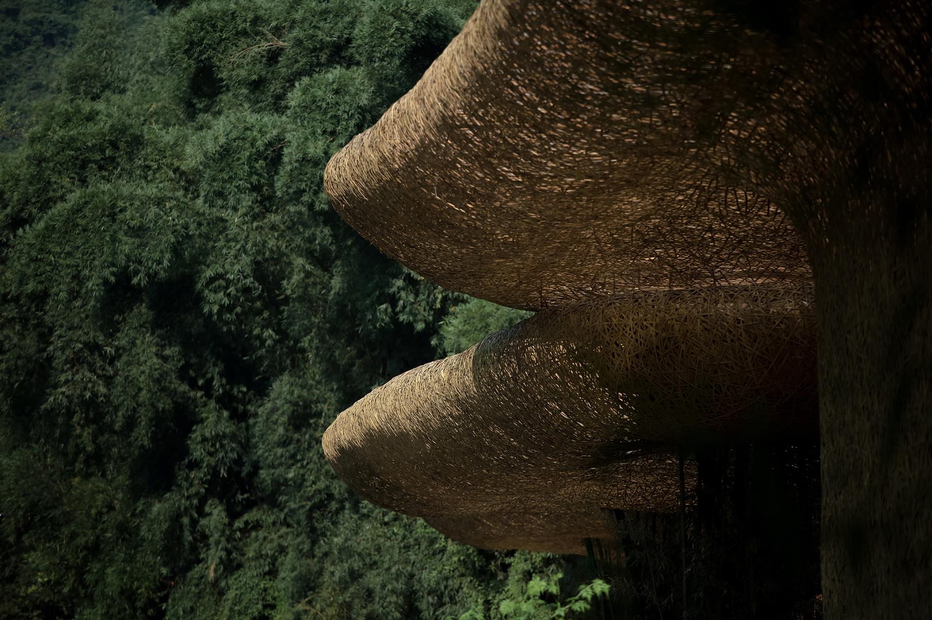 Bamboo Bamboo, Canopy and Pavilions,Impression SanjieLiu - image 8