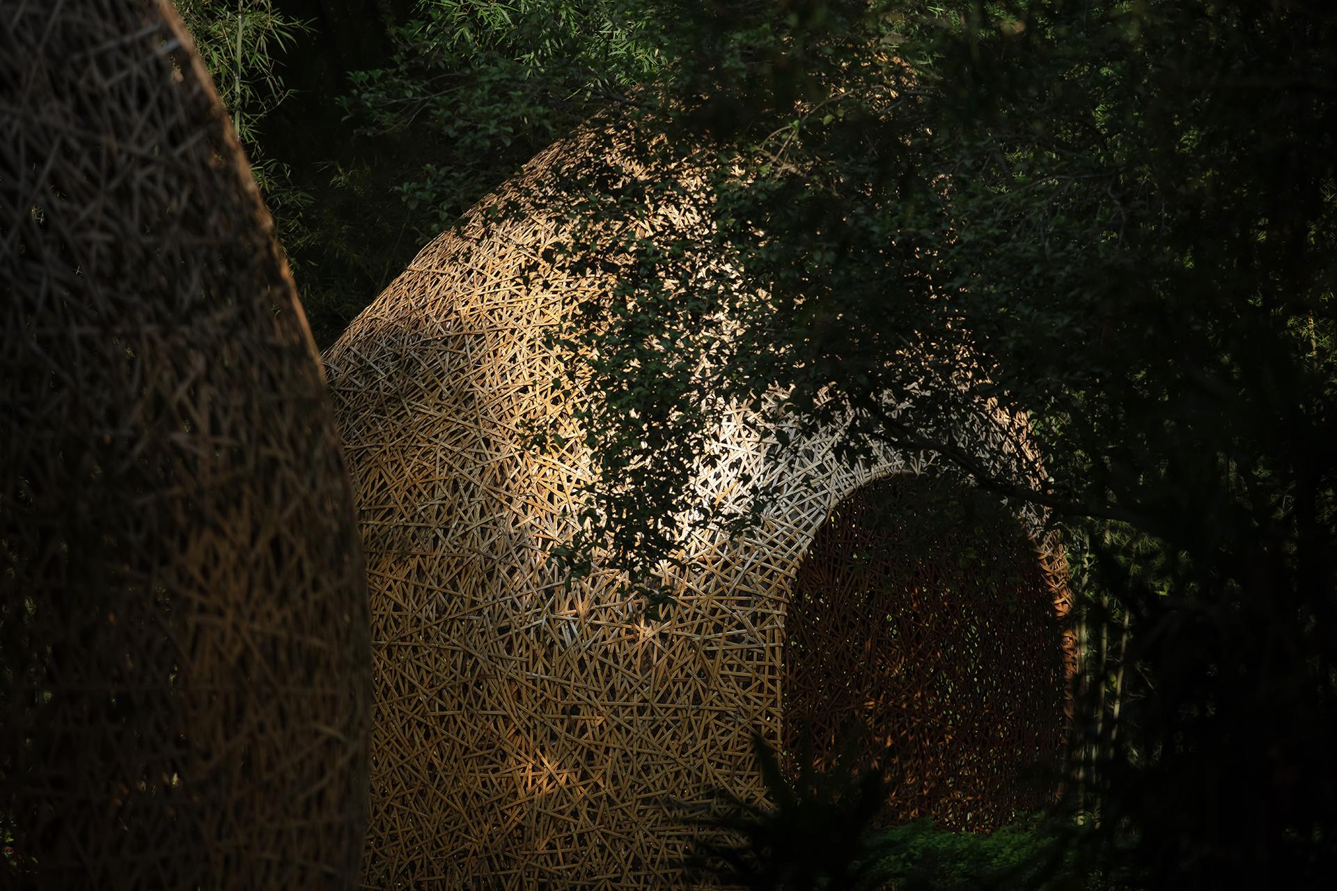 Bamboo Bamboo, Canopy and Pavilions,Impression SanjieLiu - image 9