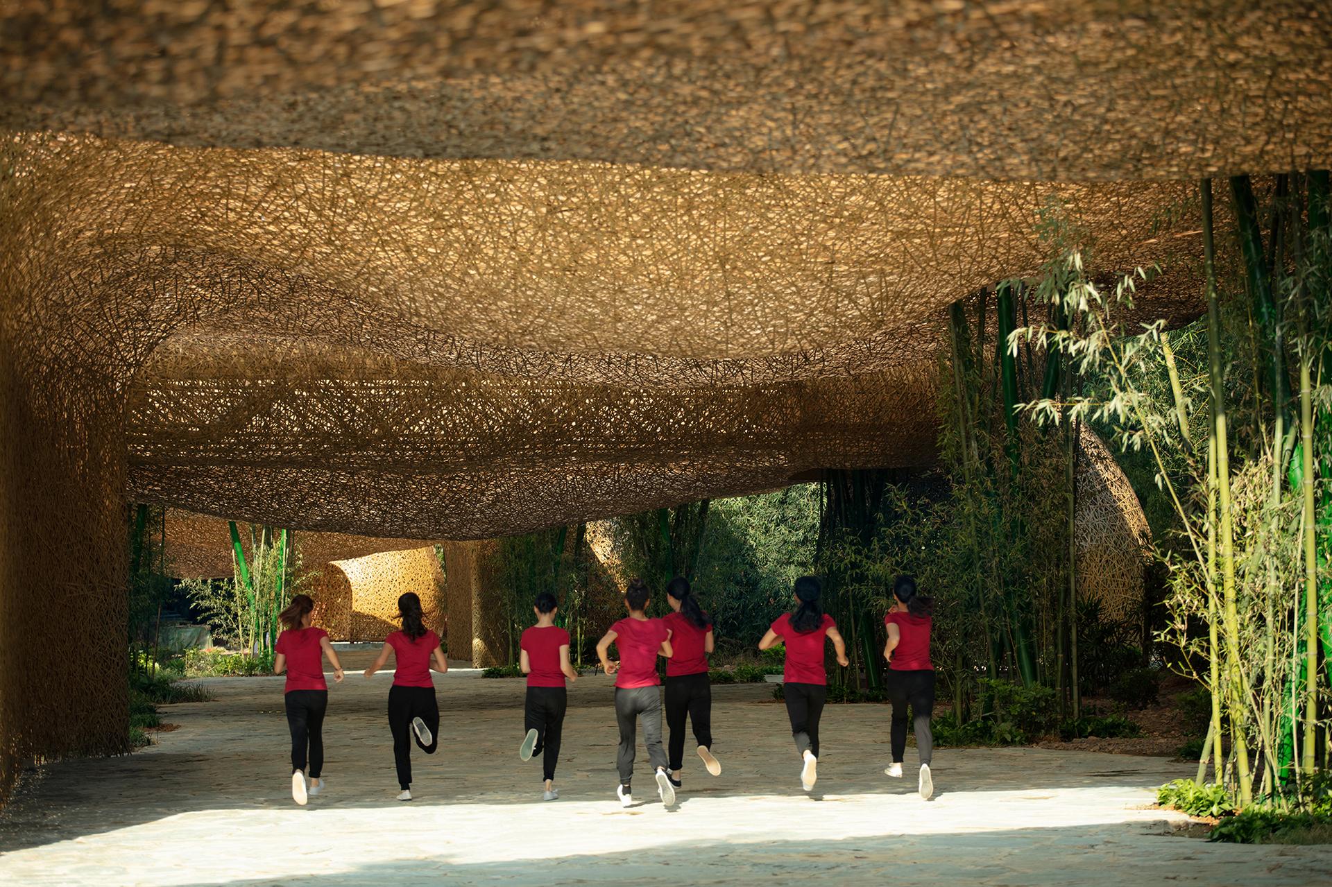 Bamboo Bamboo, Canopy and Pavilions,Impression SanjieLiu - image 11