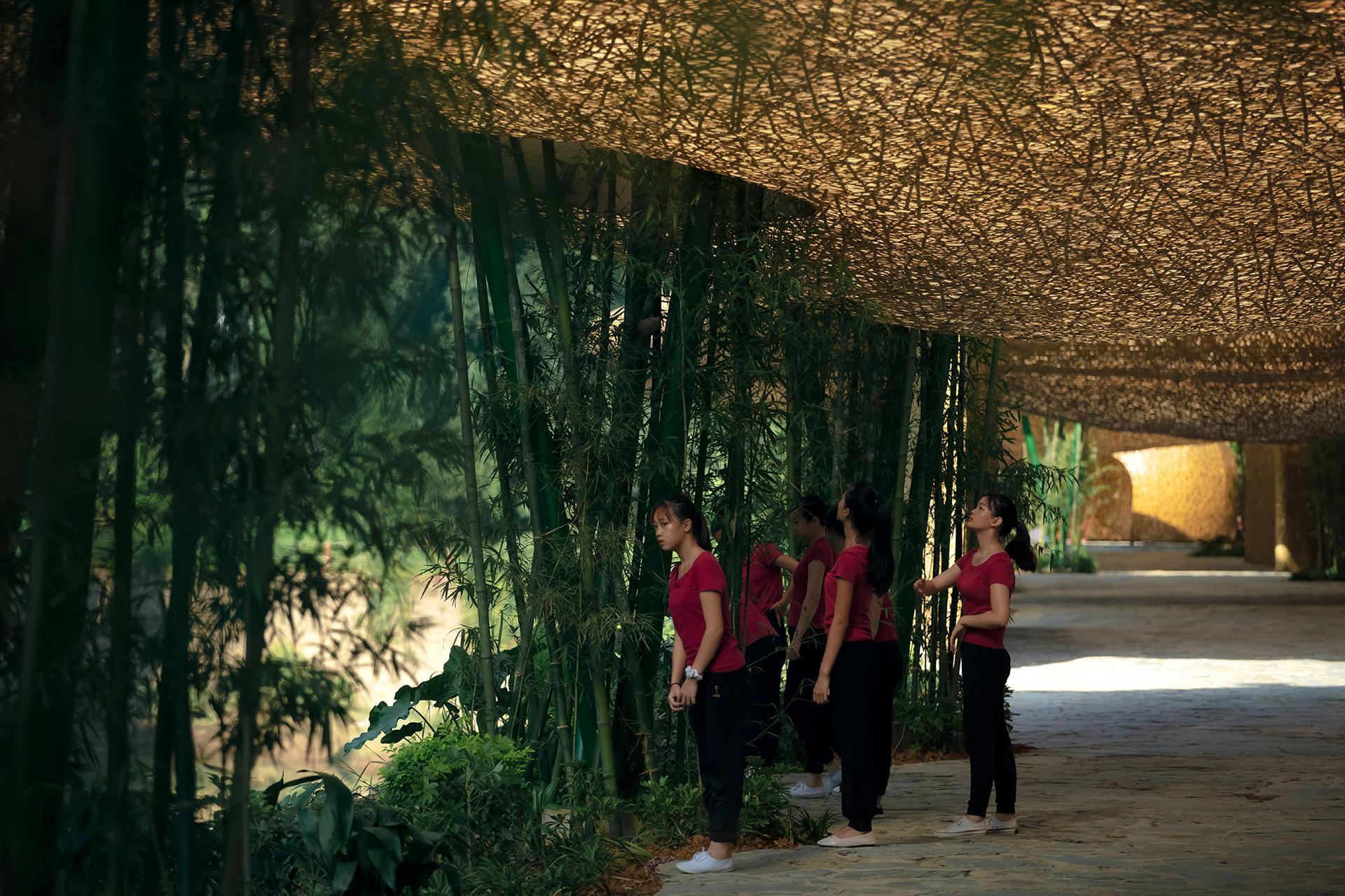 Bamboo Bamboo, Canopy and Pavilions,Impression SanjieLiu - image 12