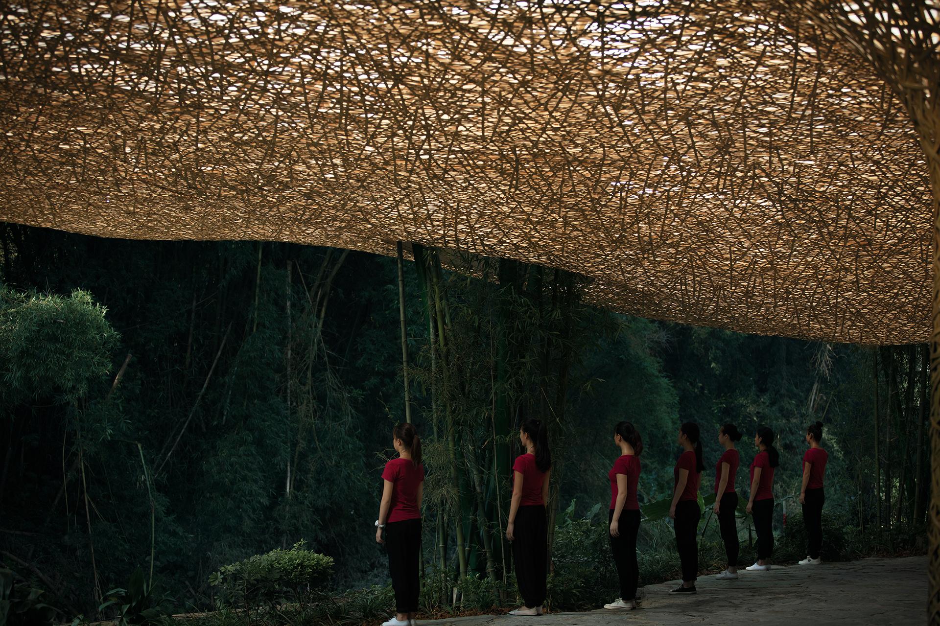 Bamboo Bamboo, Canopy and Pavilions,Impression SanjieLiu - image 13