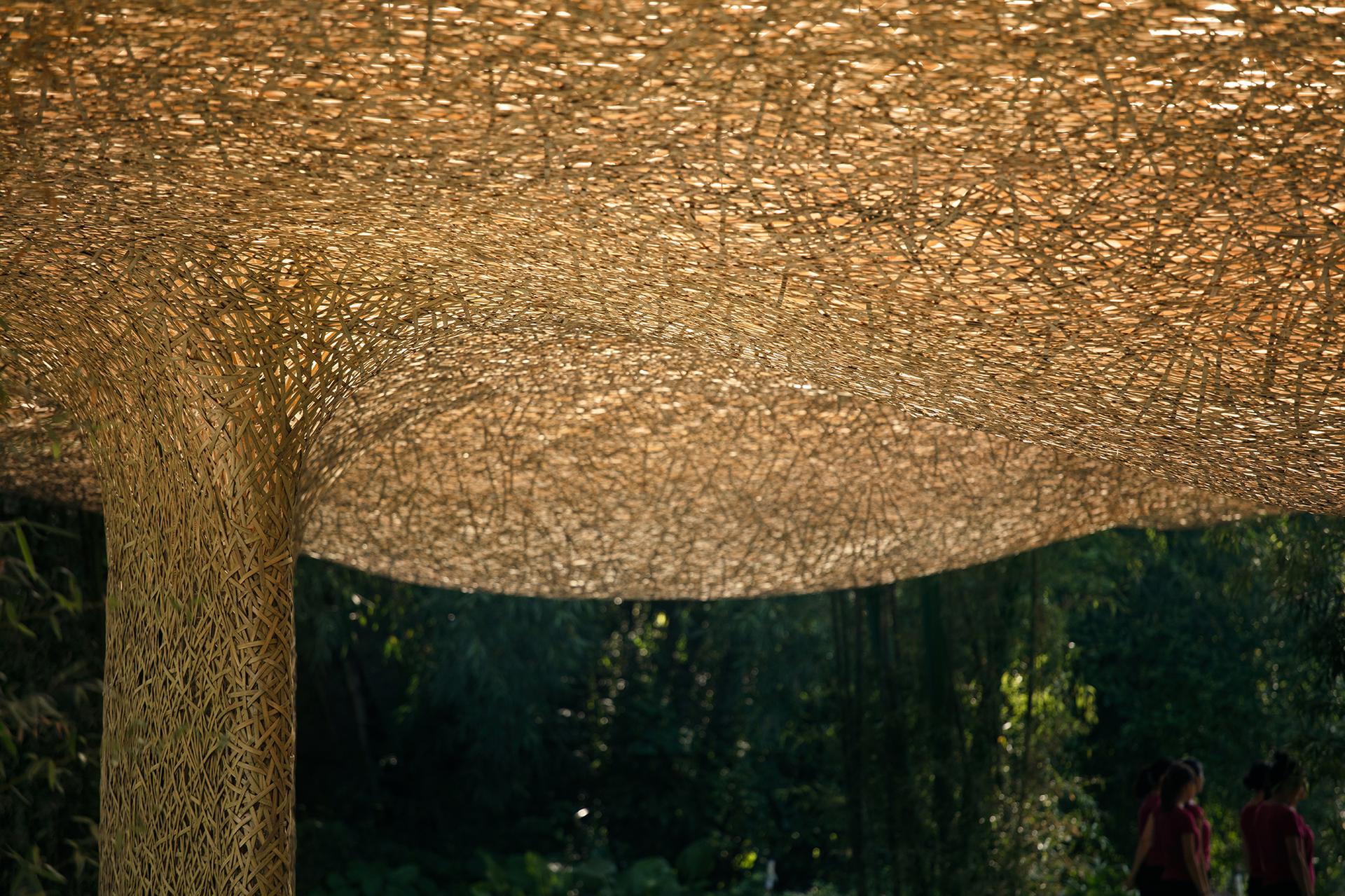 Bamboo Bamboo, Canopy and Pavilions,Impression SanjieLiu - image 14