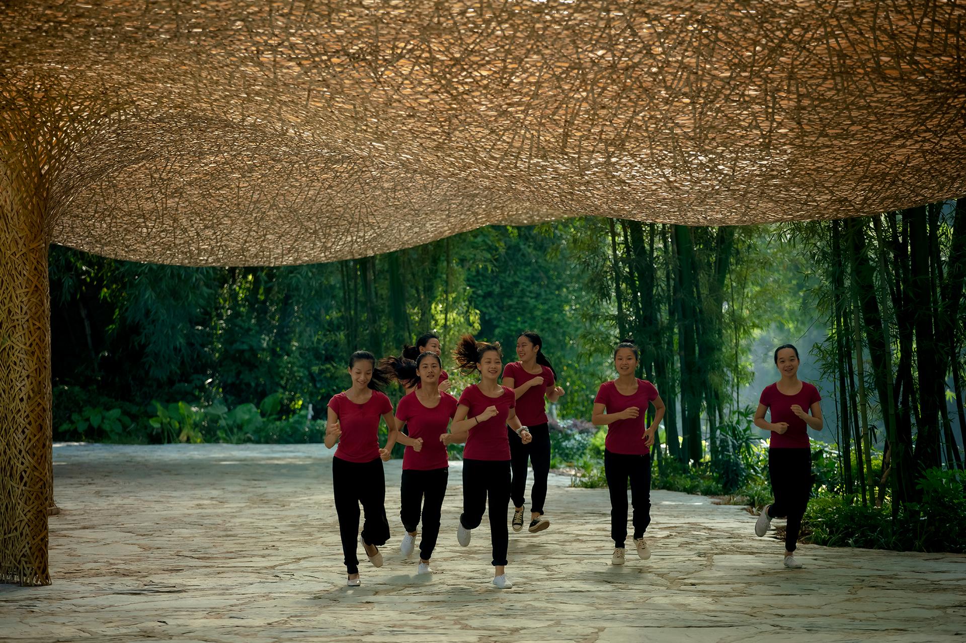 Bamboo Bamboo, Canopy and Pavilions,Impression SanjieLiu - image 15
