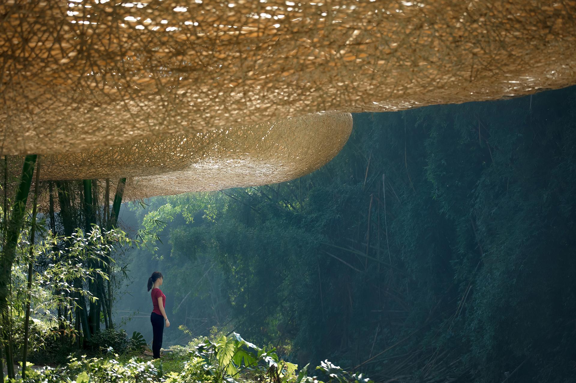 Bamboo Bamboo, Canopy and Pavilions,Impression SanjieLiu - image 18