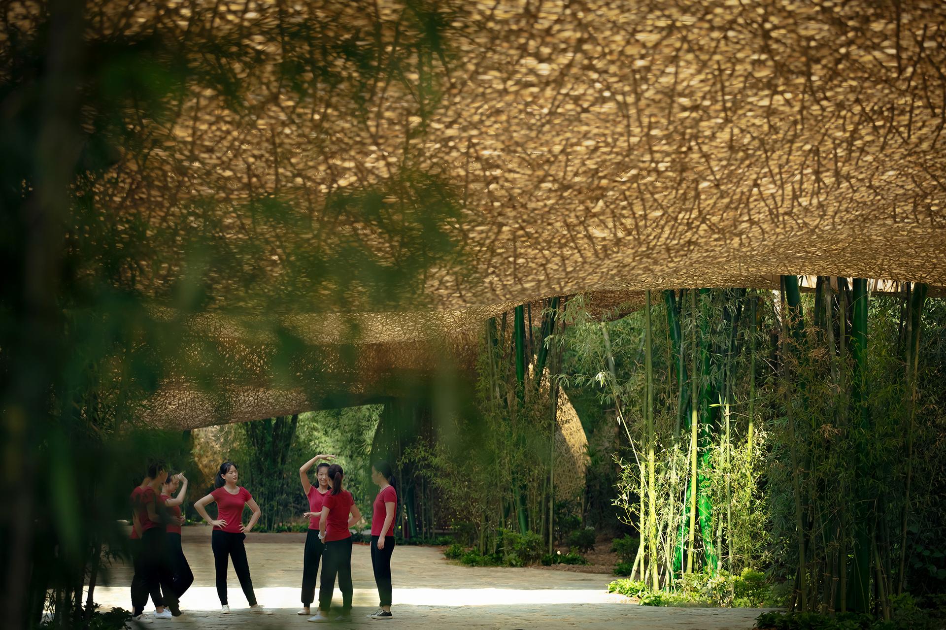 Bamboo Bamboo, Canopy and Pavilions,Impression SanjieLiu - image 23
