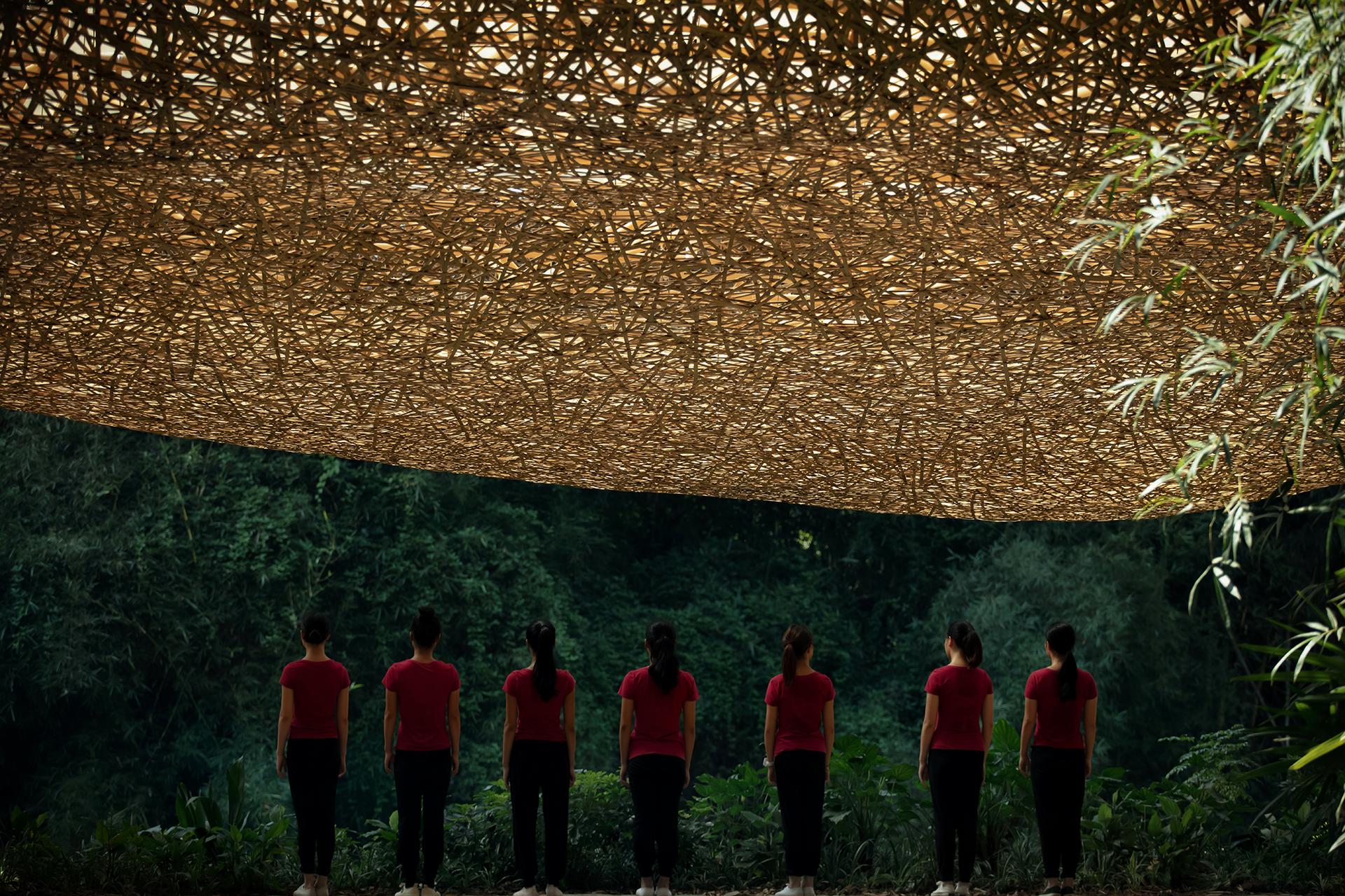 Bamboo Bamboo, Canopy and Pavilions,Impression SanjieLiu - image 34