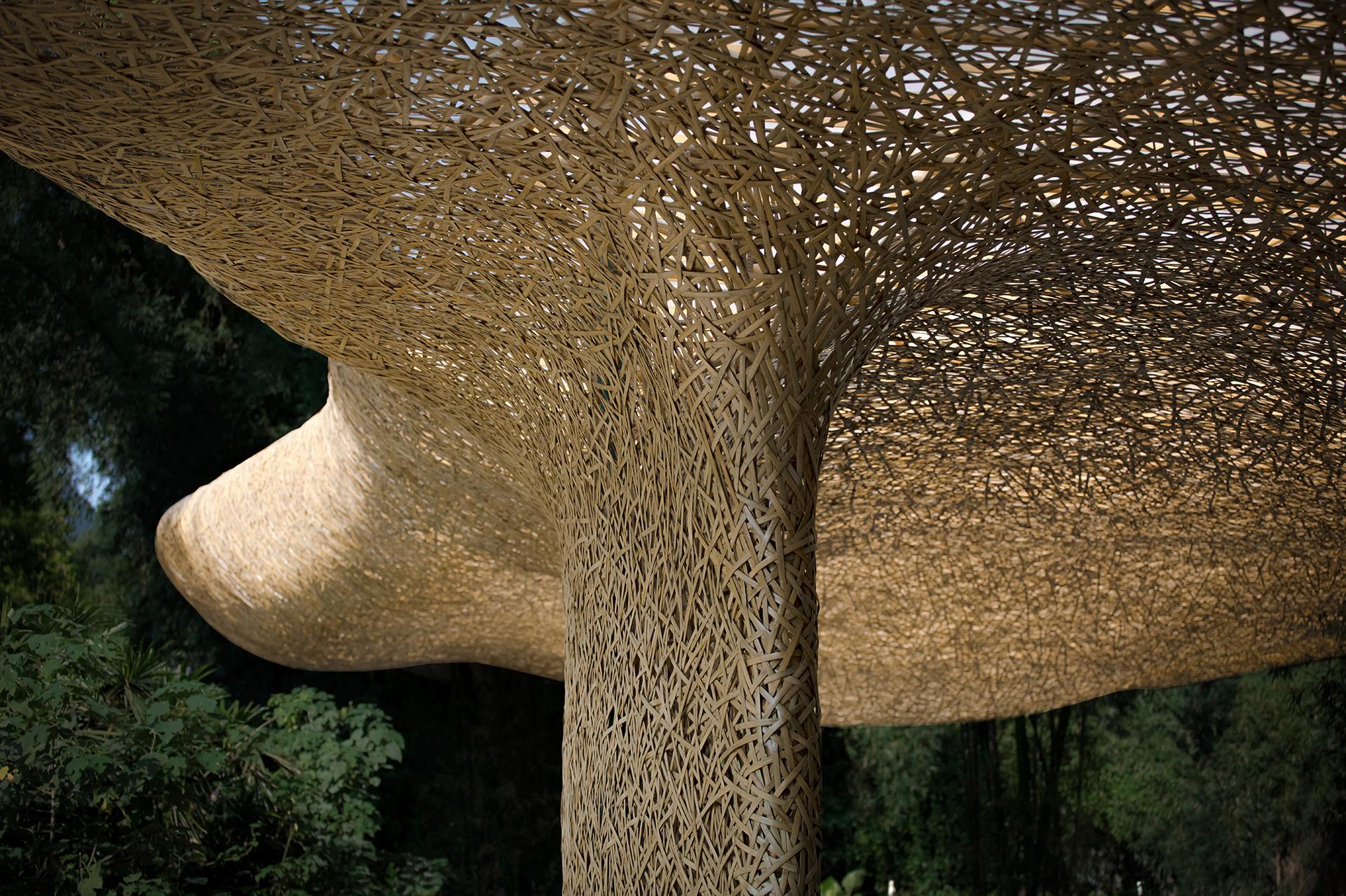 Bamboo Bamboo, Canopy and Pavilions,Impression SanjieLiu - image 40