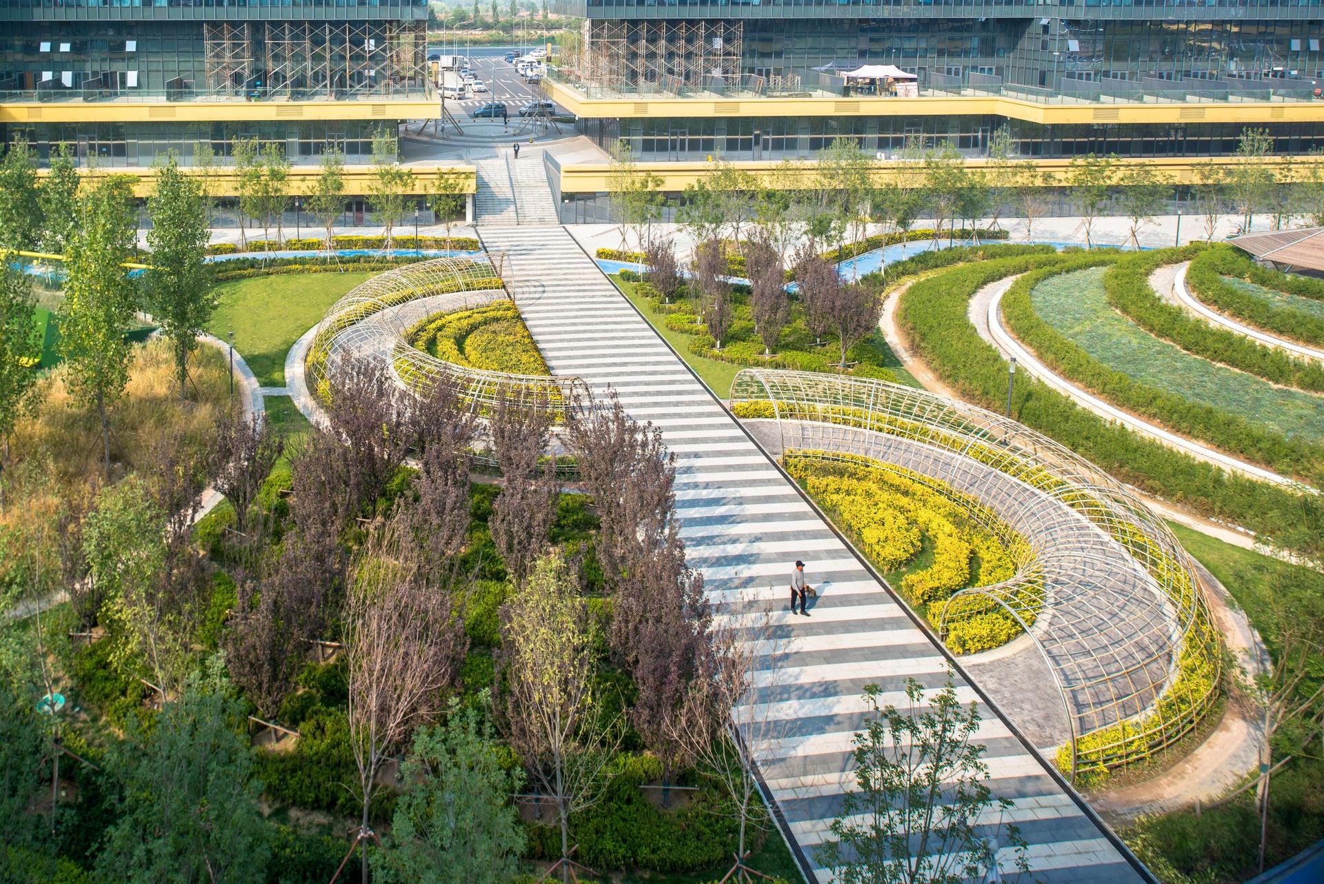 Daxing Green Hub and Park - image 7