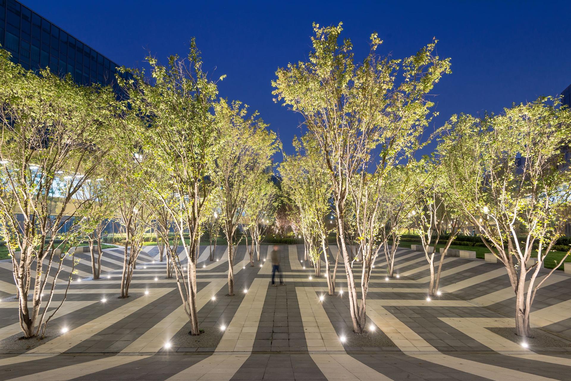 Daxing Green Hub and Park - image 8