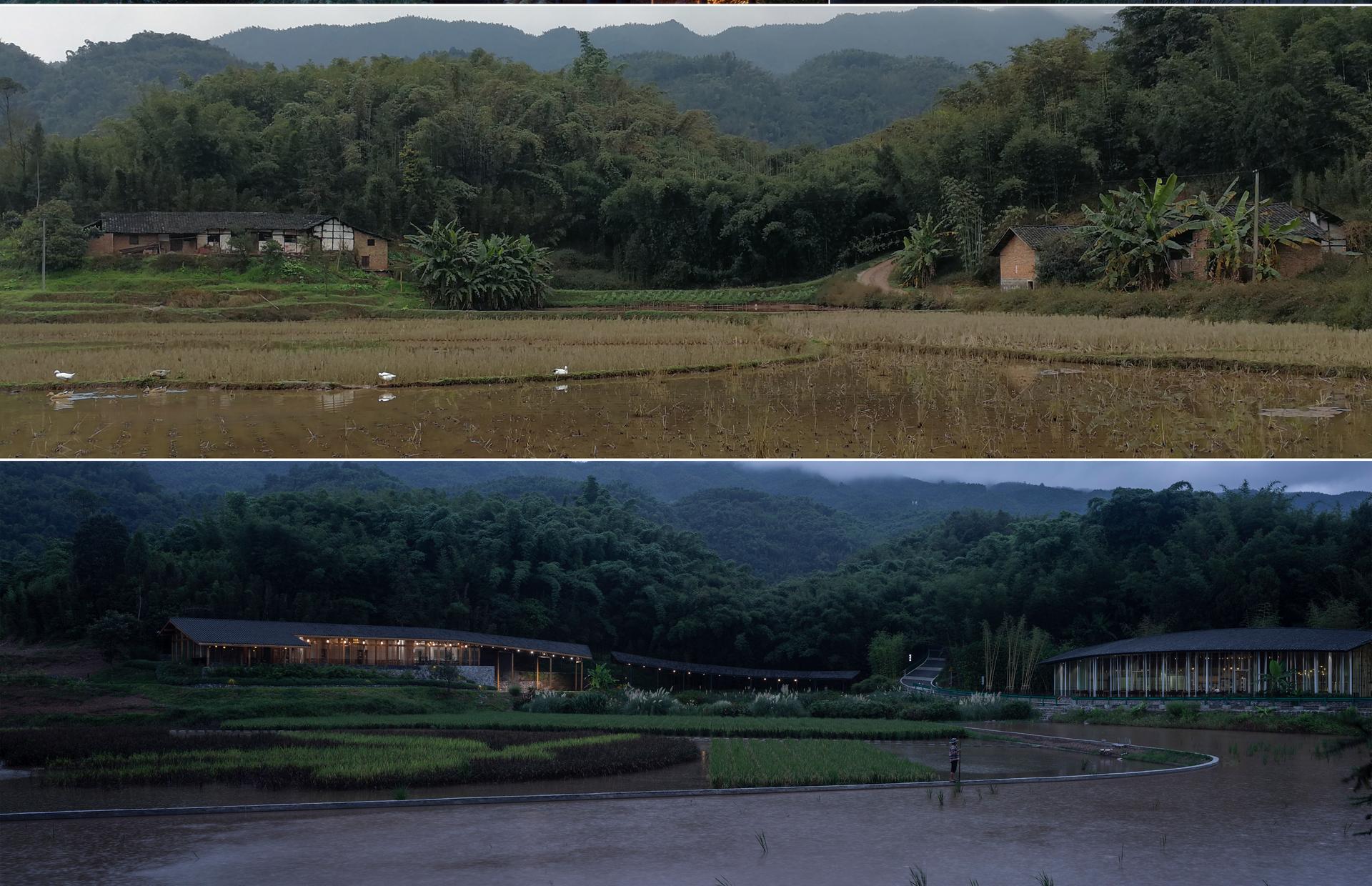 Bamboo Branch Academy - image 15