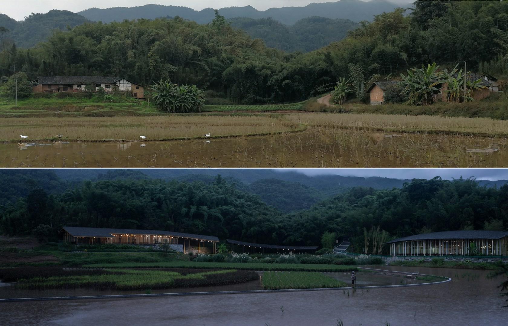 Bamboo Branch Academy - image 16