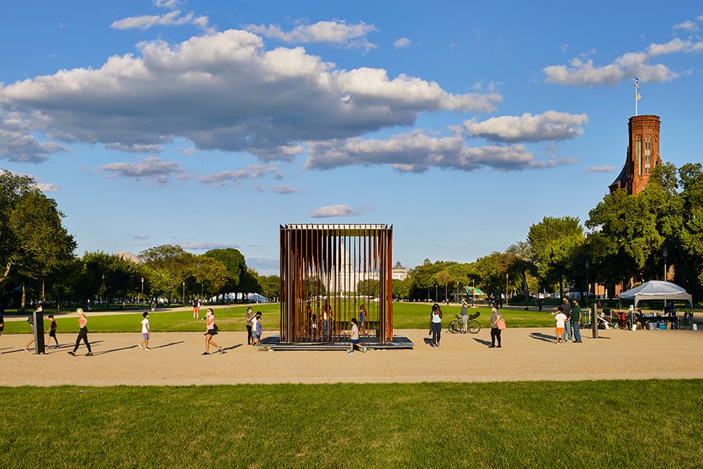 Society's Cage - image 3