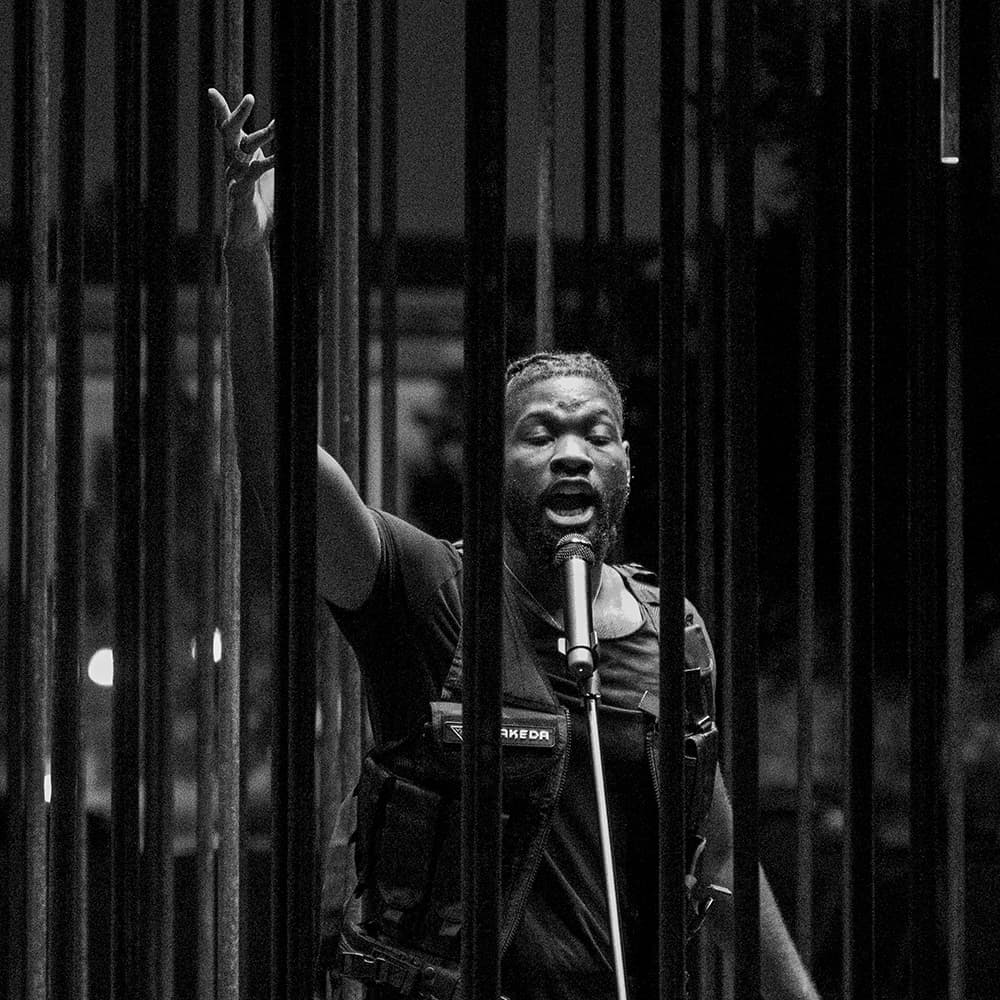 Society's Cage - image 10