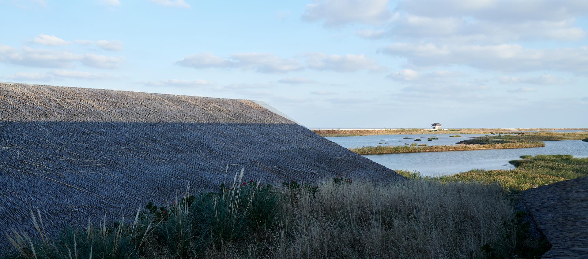 Wetland Research and Education Center, Dongtan, Chongming - image 9
