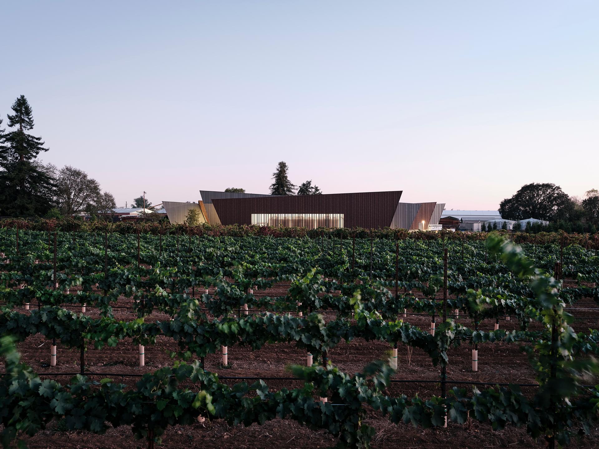 Aperture Cellars - image 3