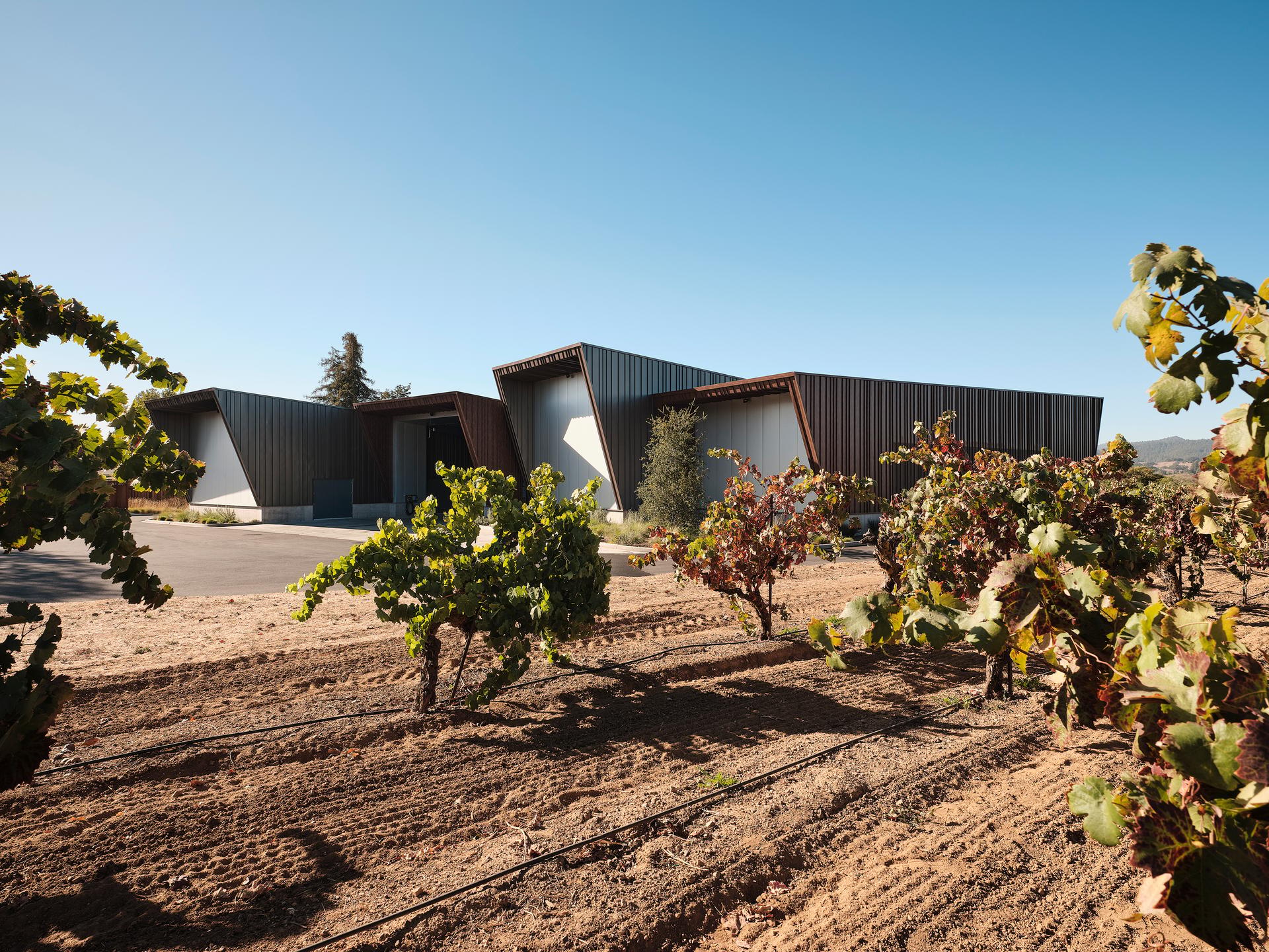 Aperture Cellars - image 2