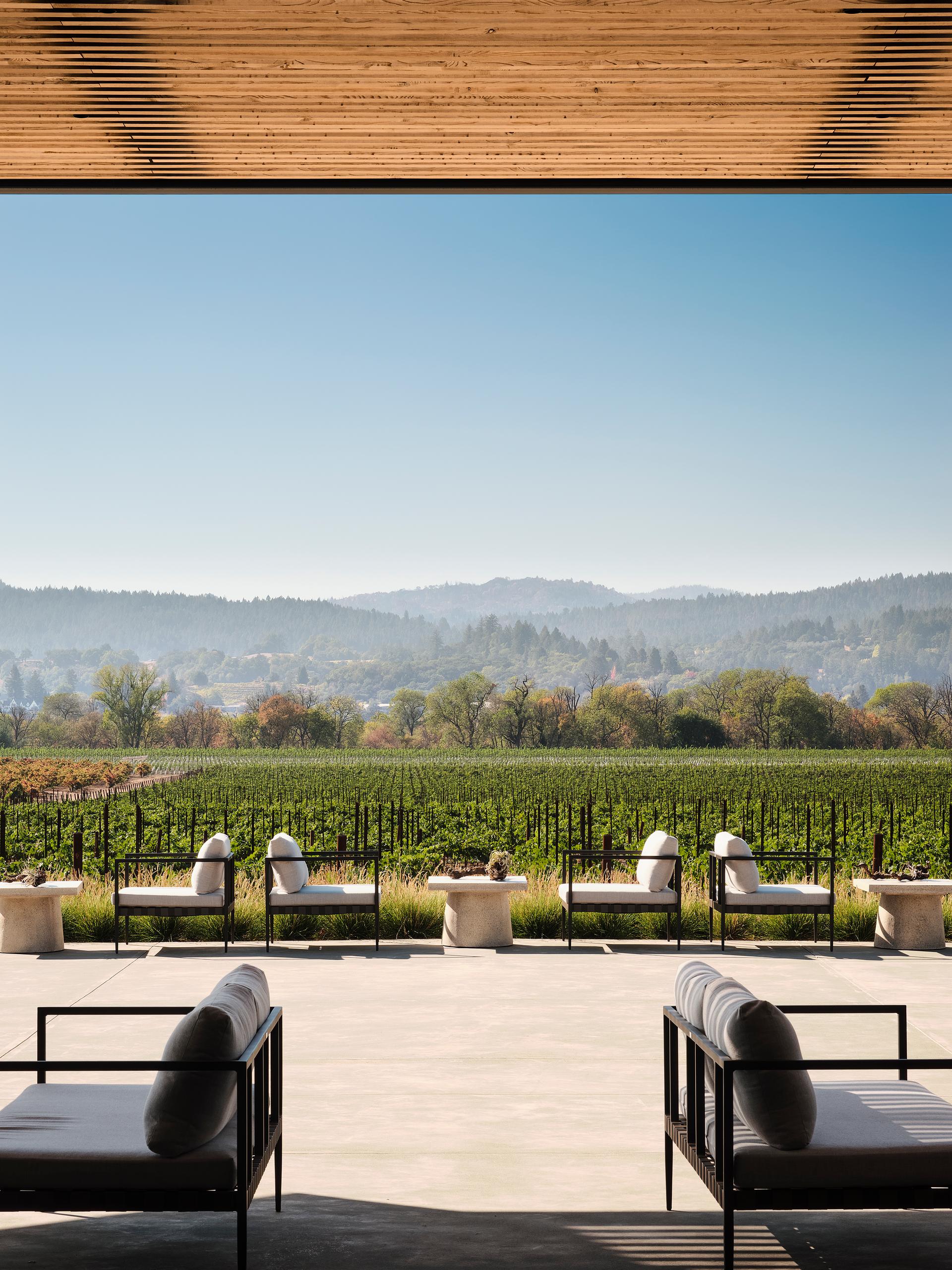 Aperture Cellars - image 8