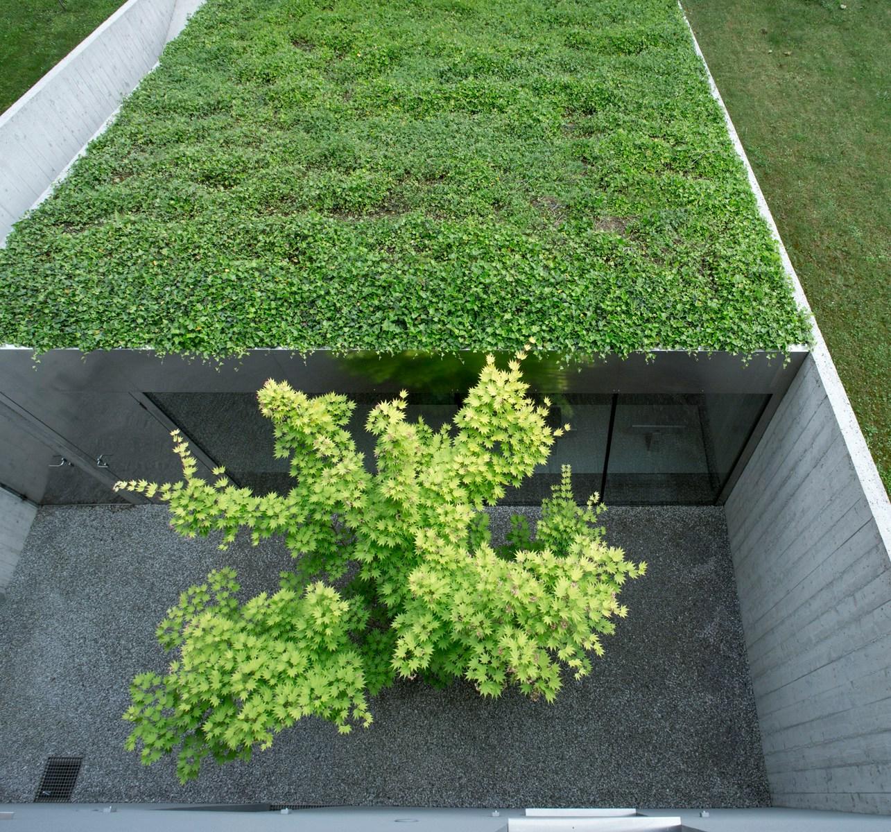 Sunken design studio - image 3