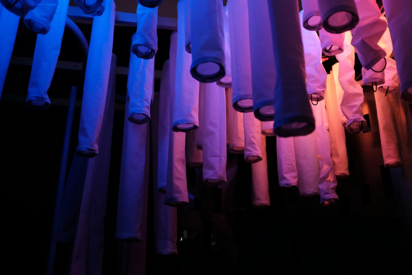 Wisteria: Architecture as an embodiment of human emotion - image 3