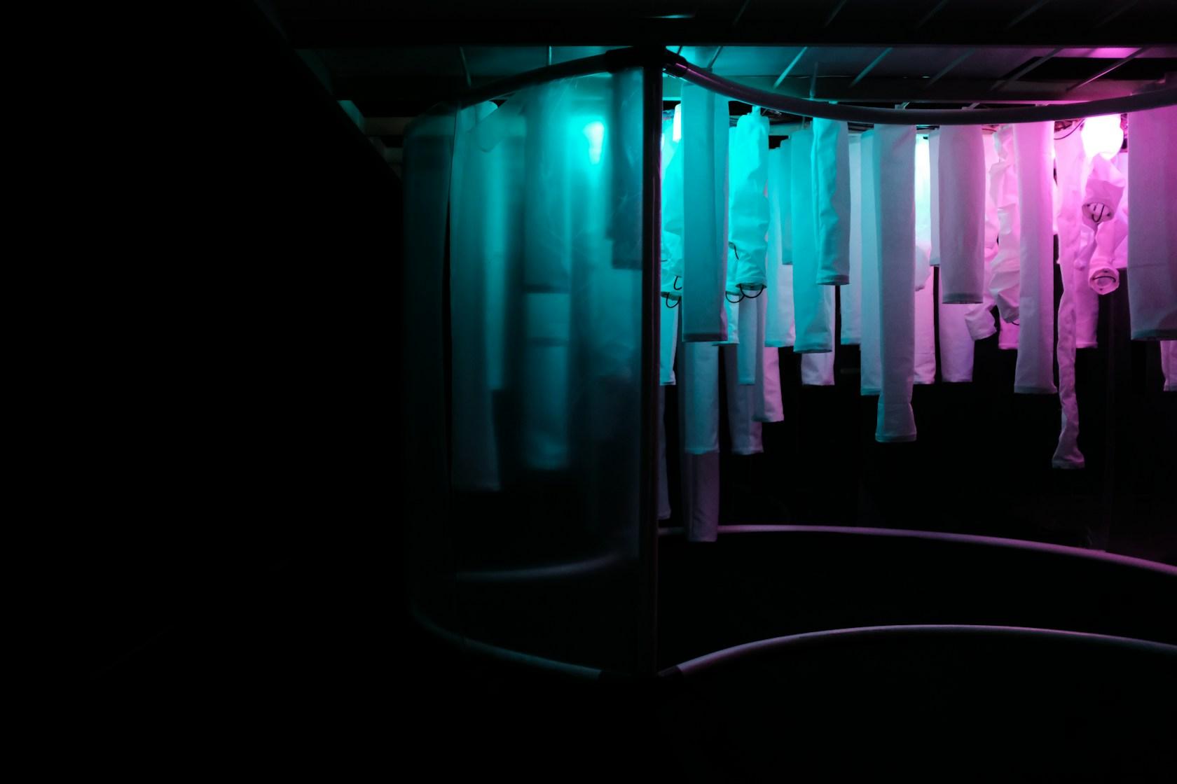 Wisteria: Architecture as an embodiment of human emotion - image 4