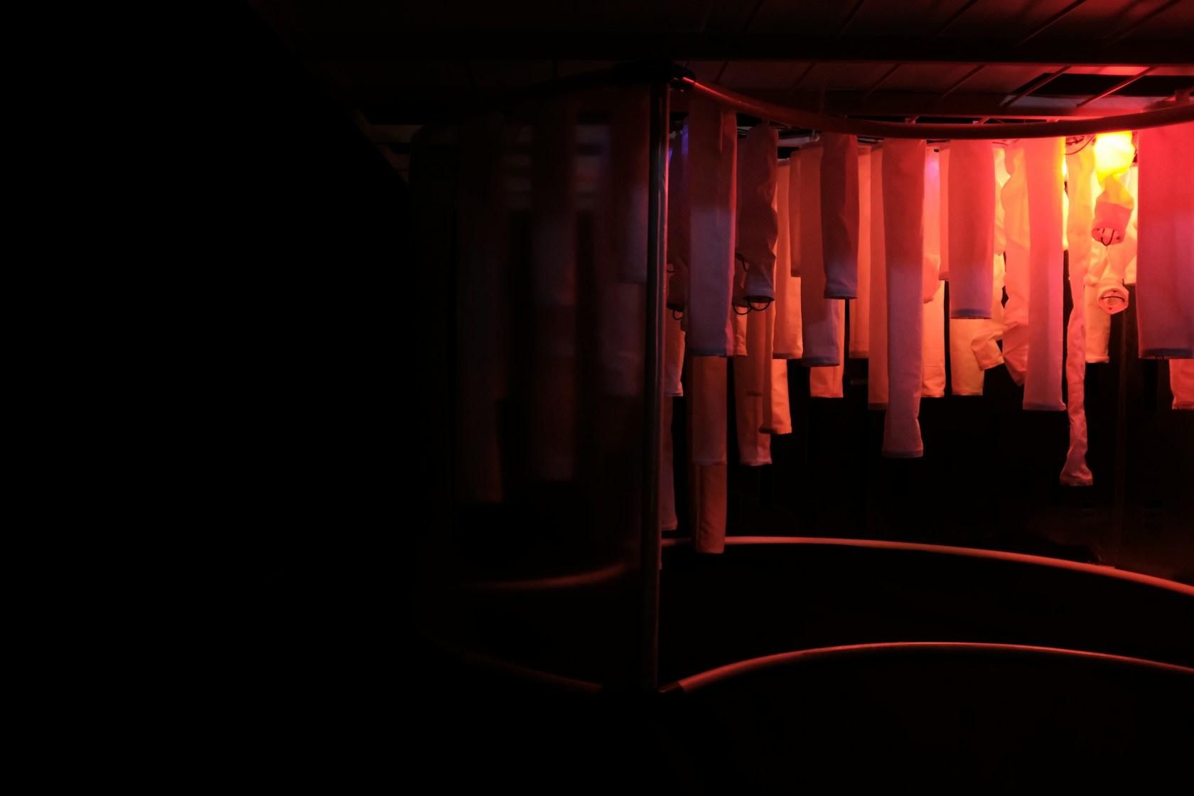 Wisteria: Architecture as an embodiment of human emotion - image 25