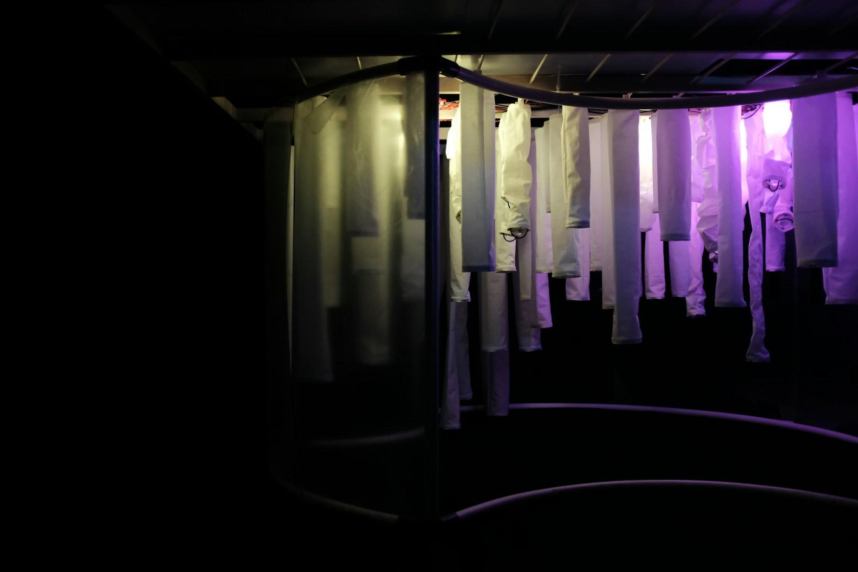 Wisteria: Architecture as an embodiment of human emotion - image 26