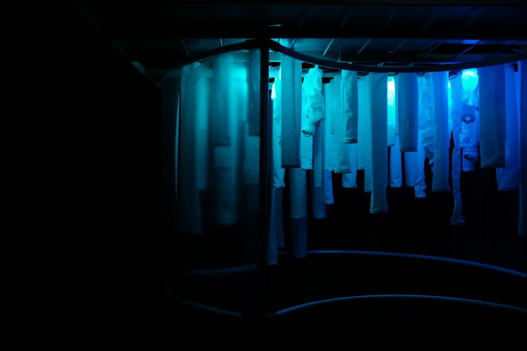 Wisteria: Architecture as an embodiment of human emotion - image 31