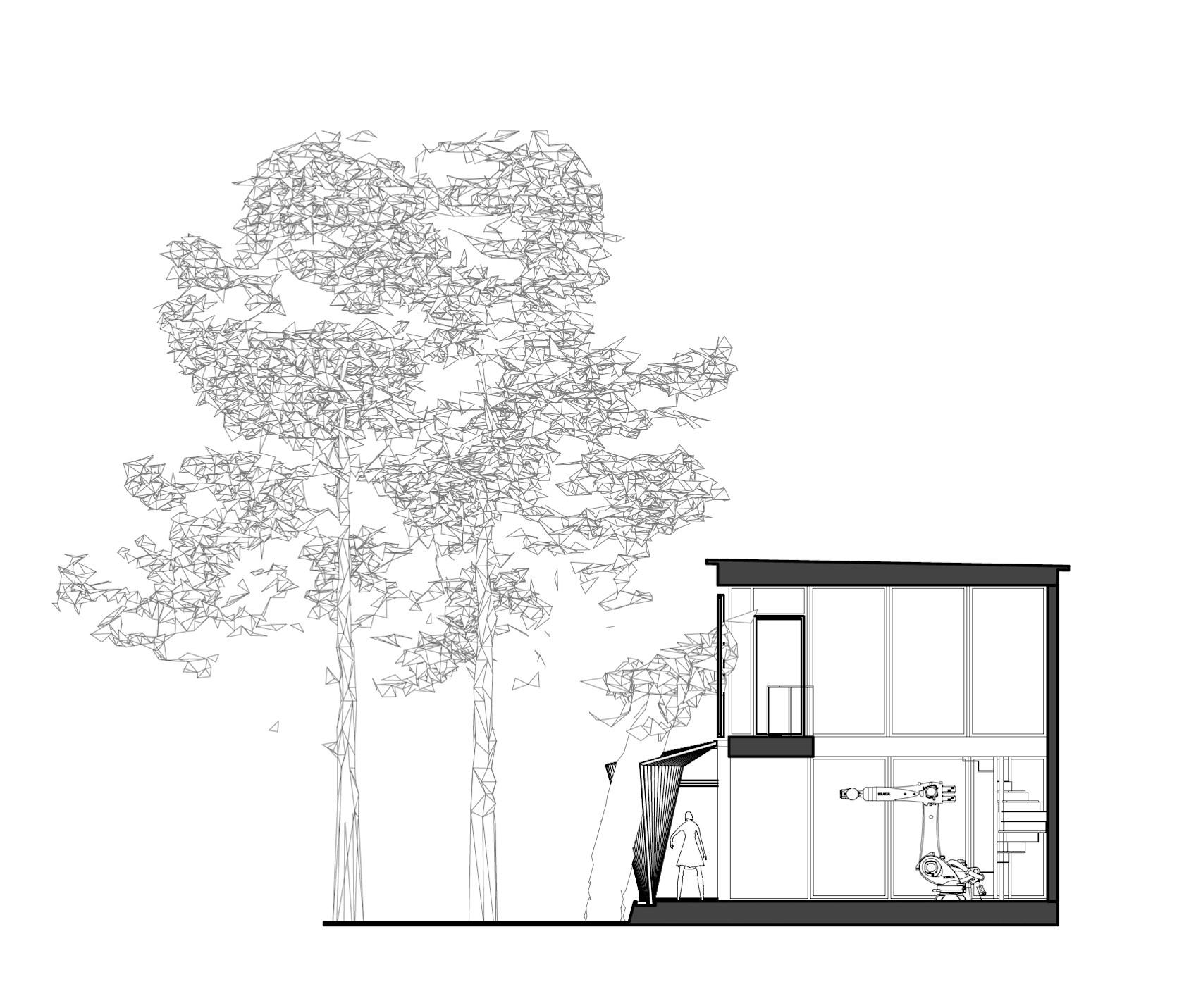 Trees-Parency - image 13