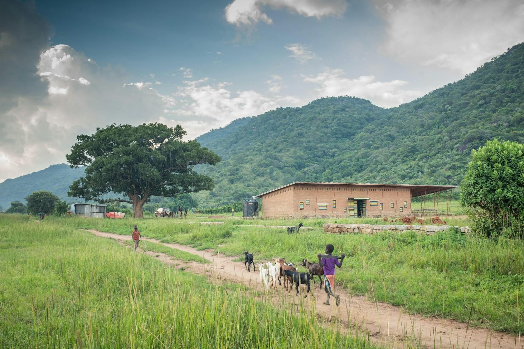 AWF Primary Schools in Karamoja - image 7