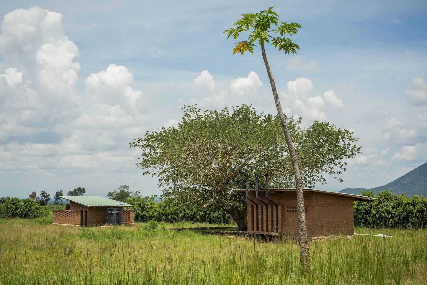 AWF Primary Schools in Karamoja - image 9