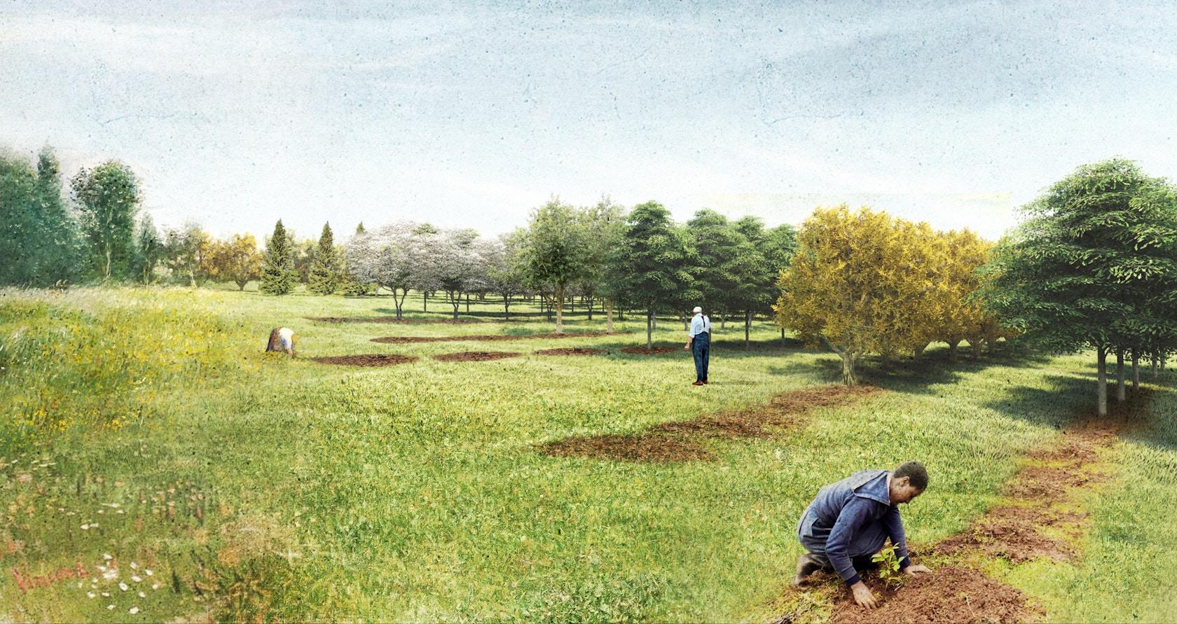 Heartwood Greenways and Stormwater Masterplan - image 11