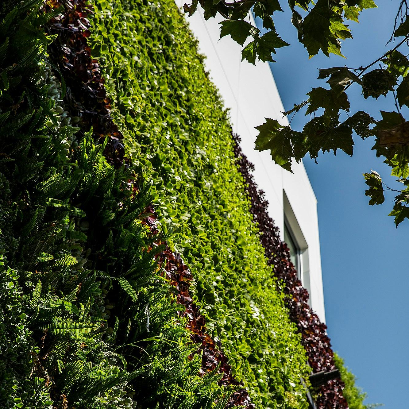 Gardenhouse - image 6