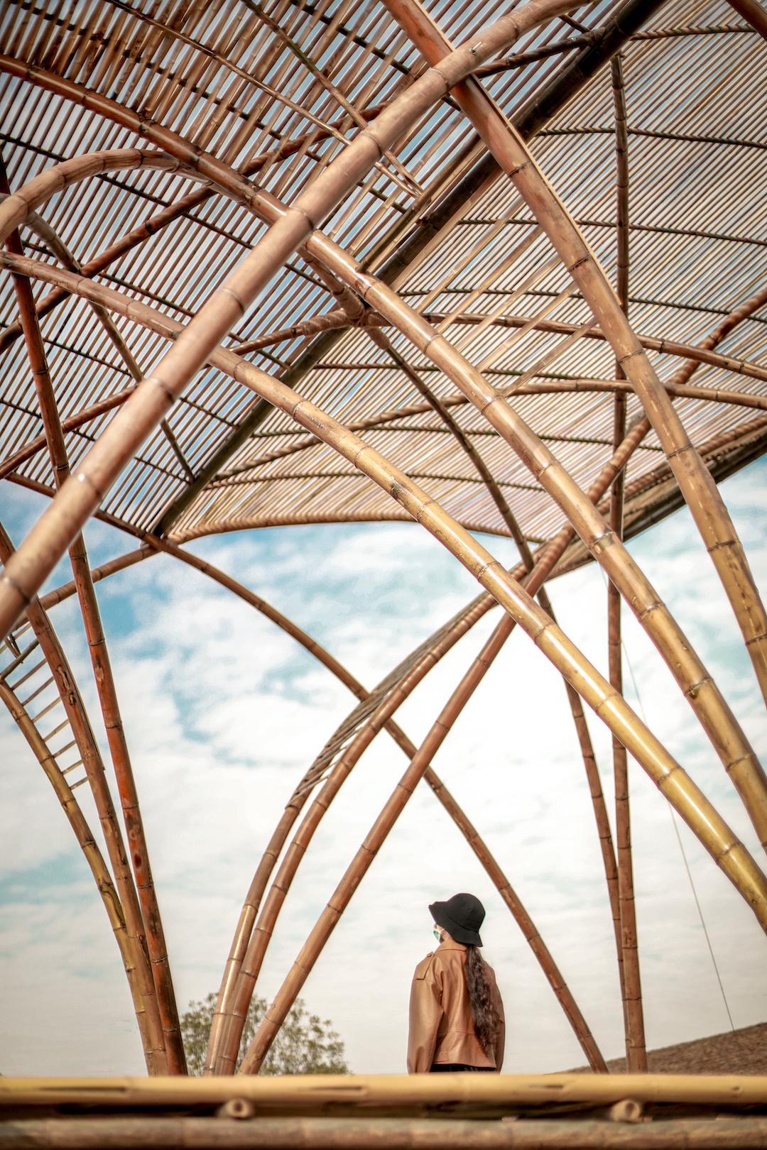 Phoenix Pavilion - image 5