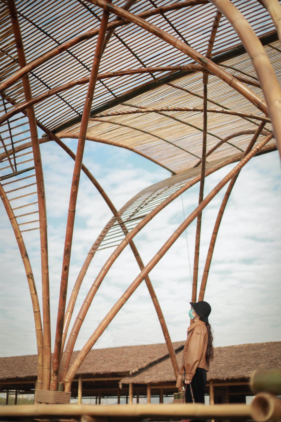 Phoenix Pavilion - image 8