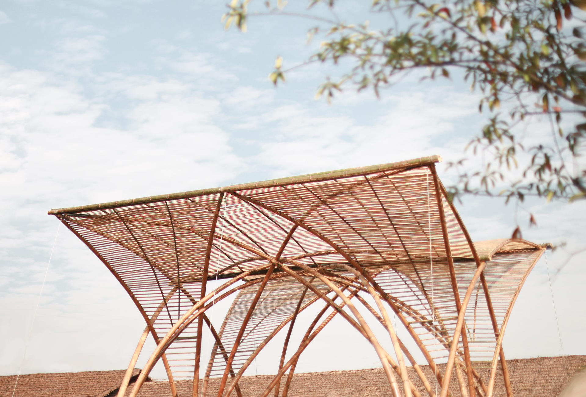 Phoenix Pavilion - image 11