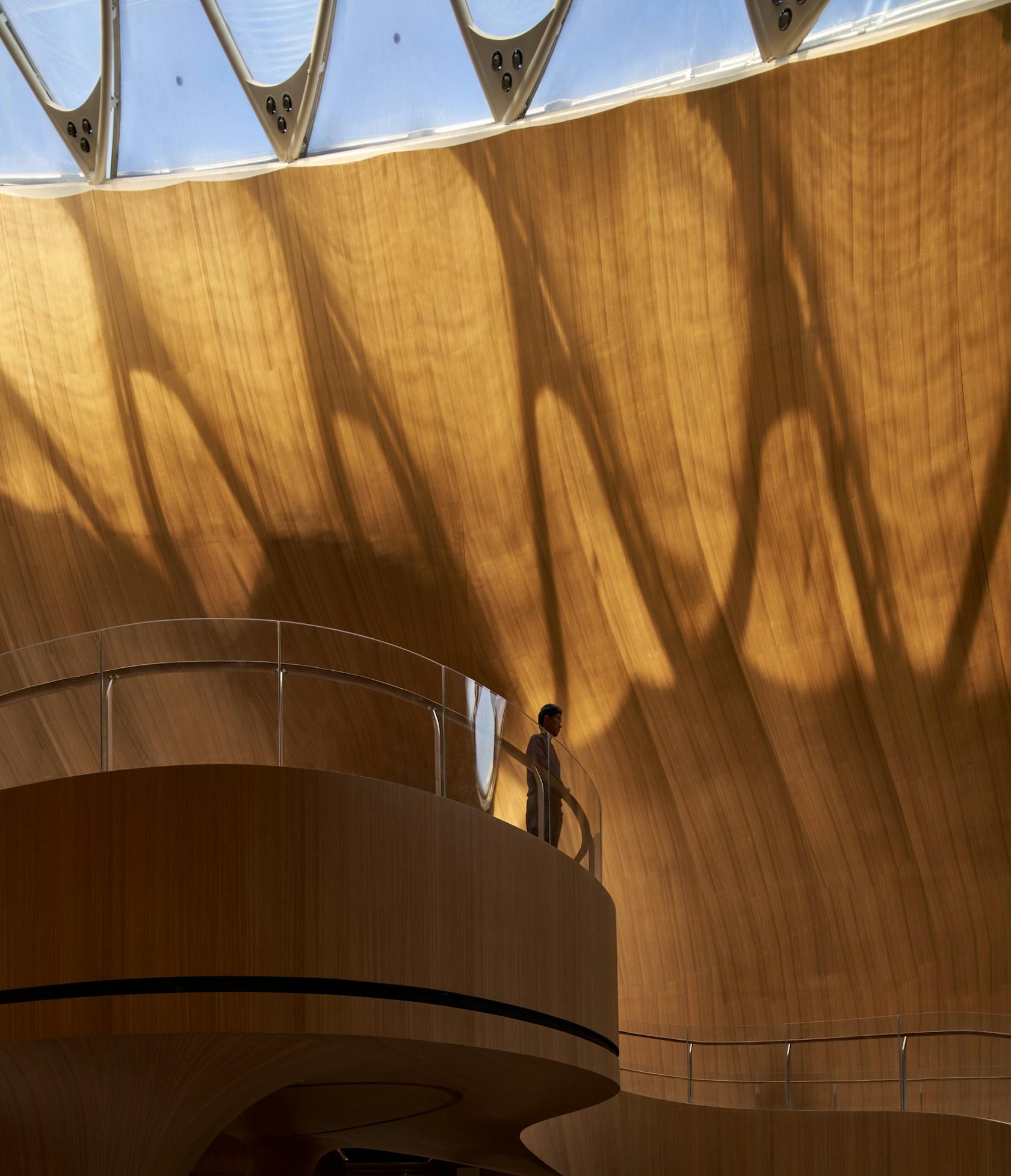 Yabuli Entrepreneurs' Congress Center - image 6