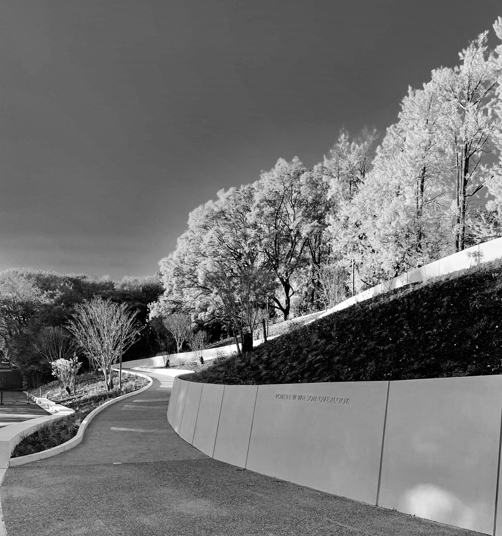 Brooklyn Botanic Garden Robert W. Wilson Overlook - image 12