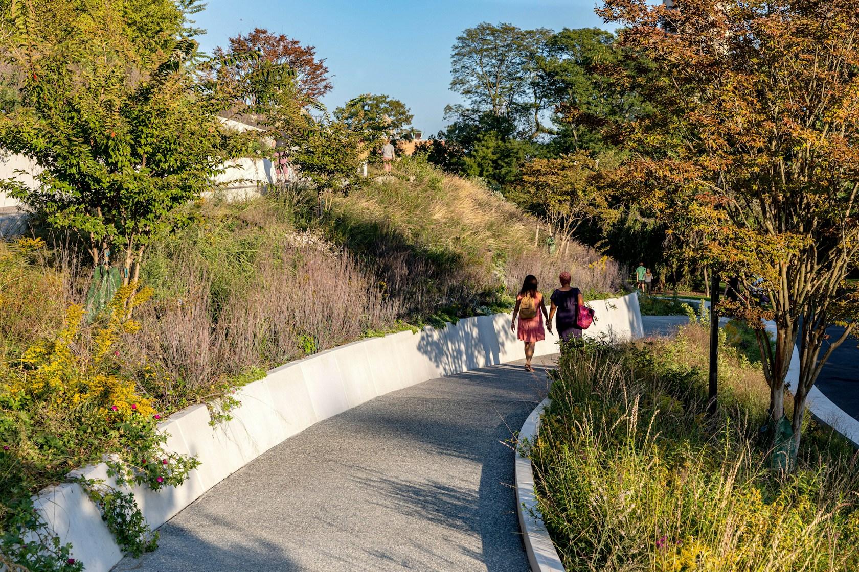 Brooklyn Botanic Garden Robert W. Wilson Overlook - image 8