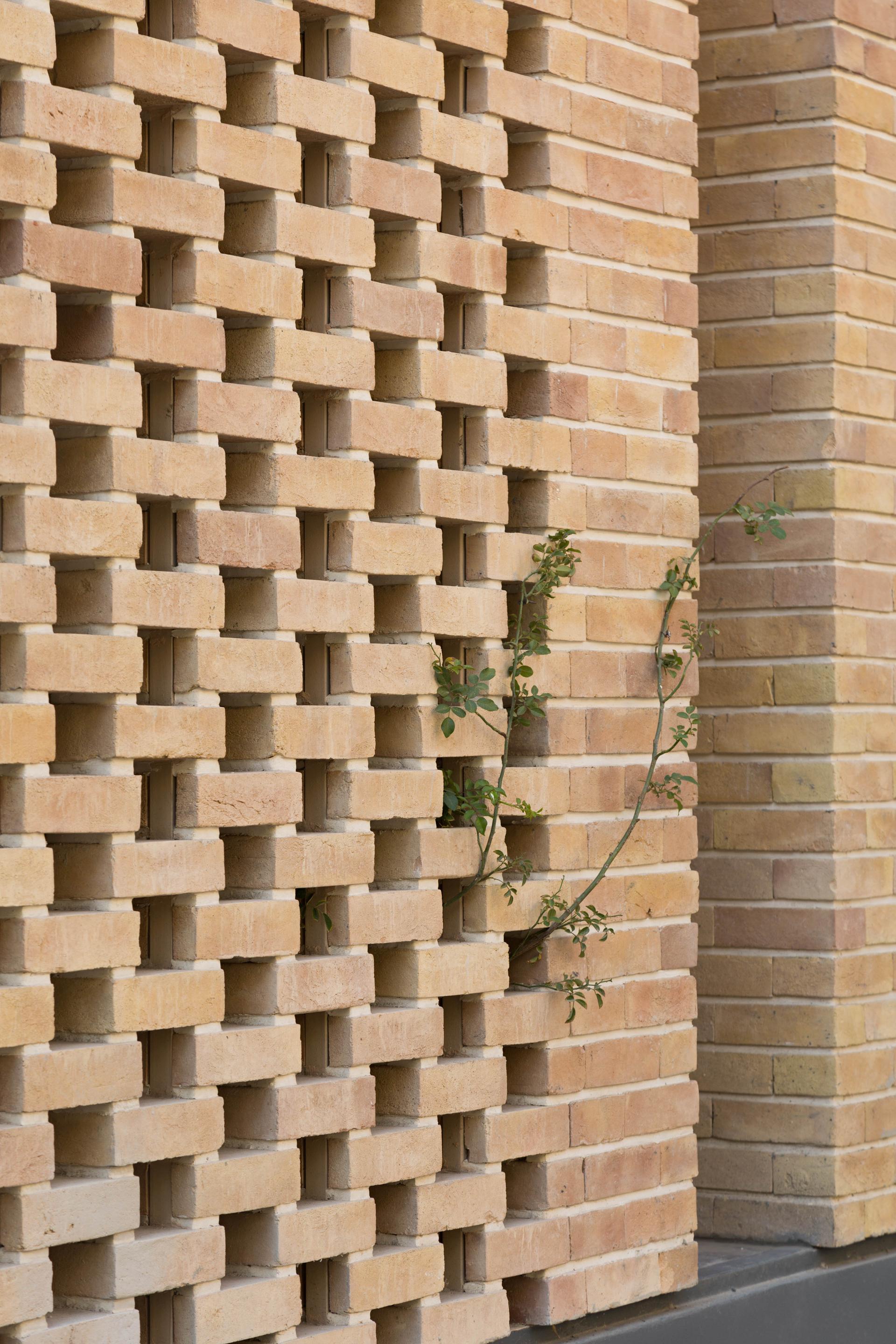 Peyvand Residential Building - image 10