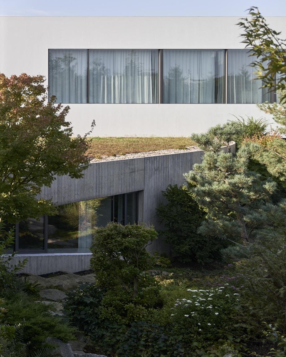From the Garden House - image 7
