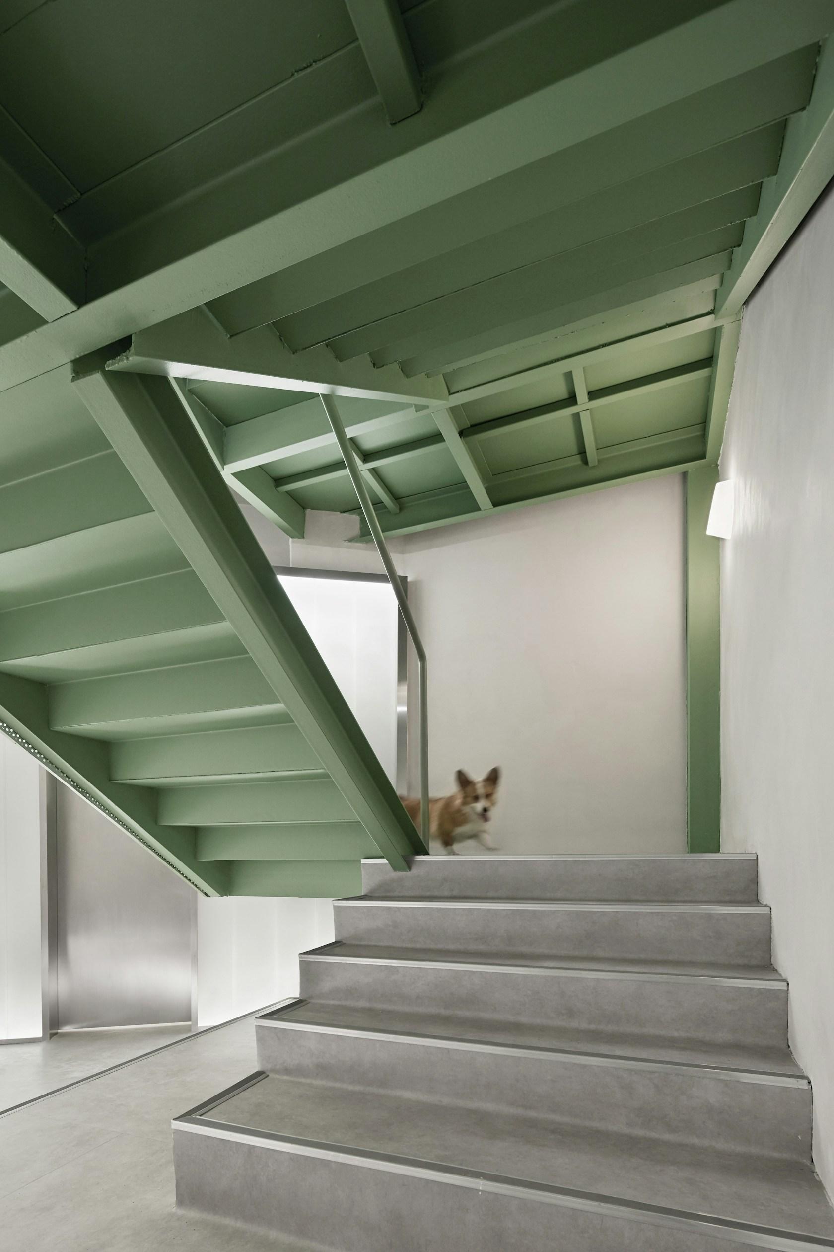 Springfield Pet Hospital - image 17