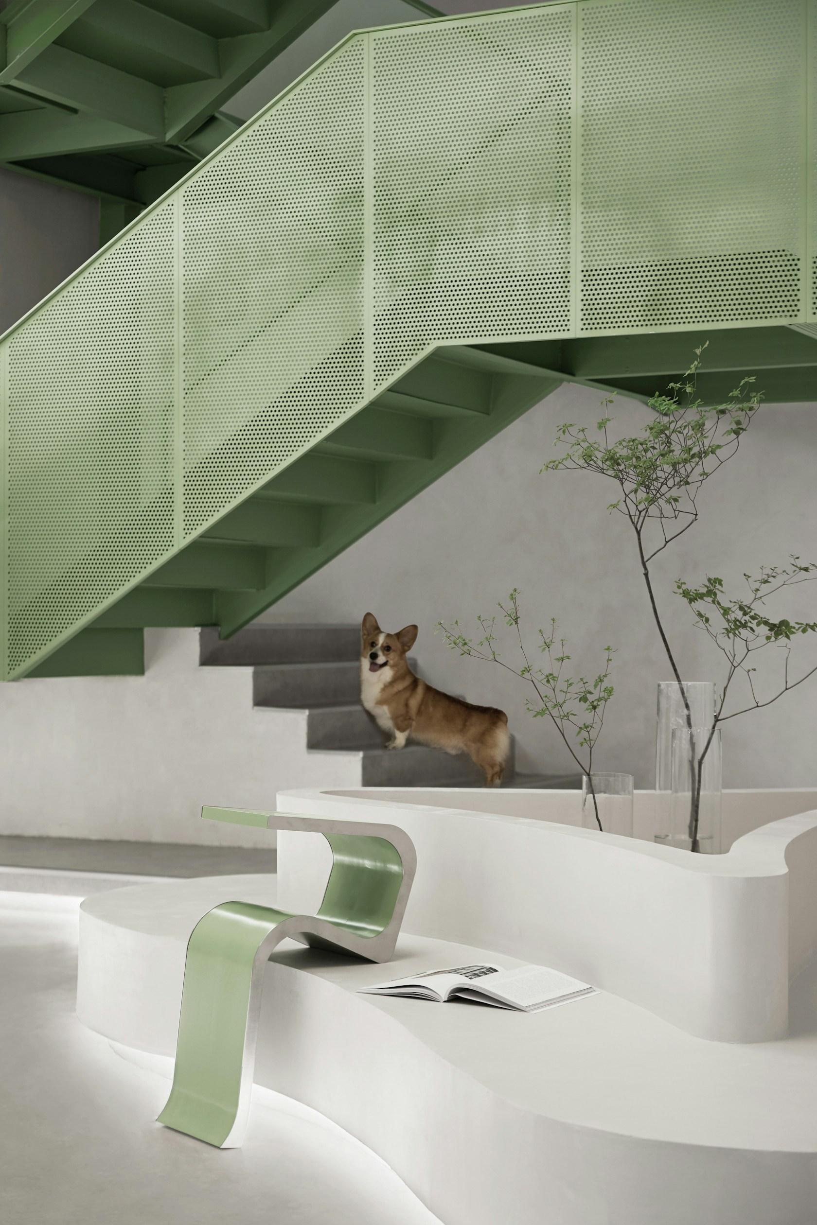Springfield Pet Hospital - image 25