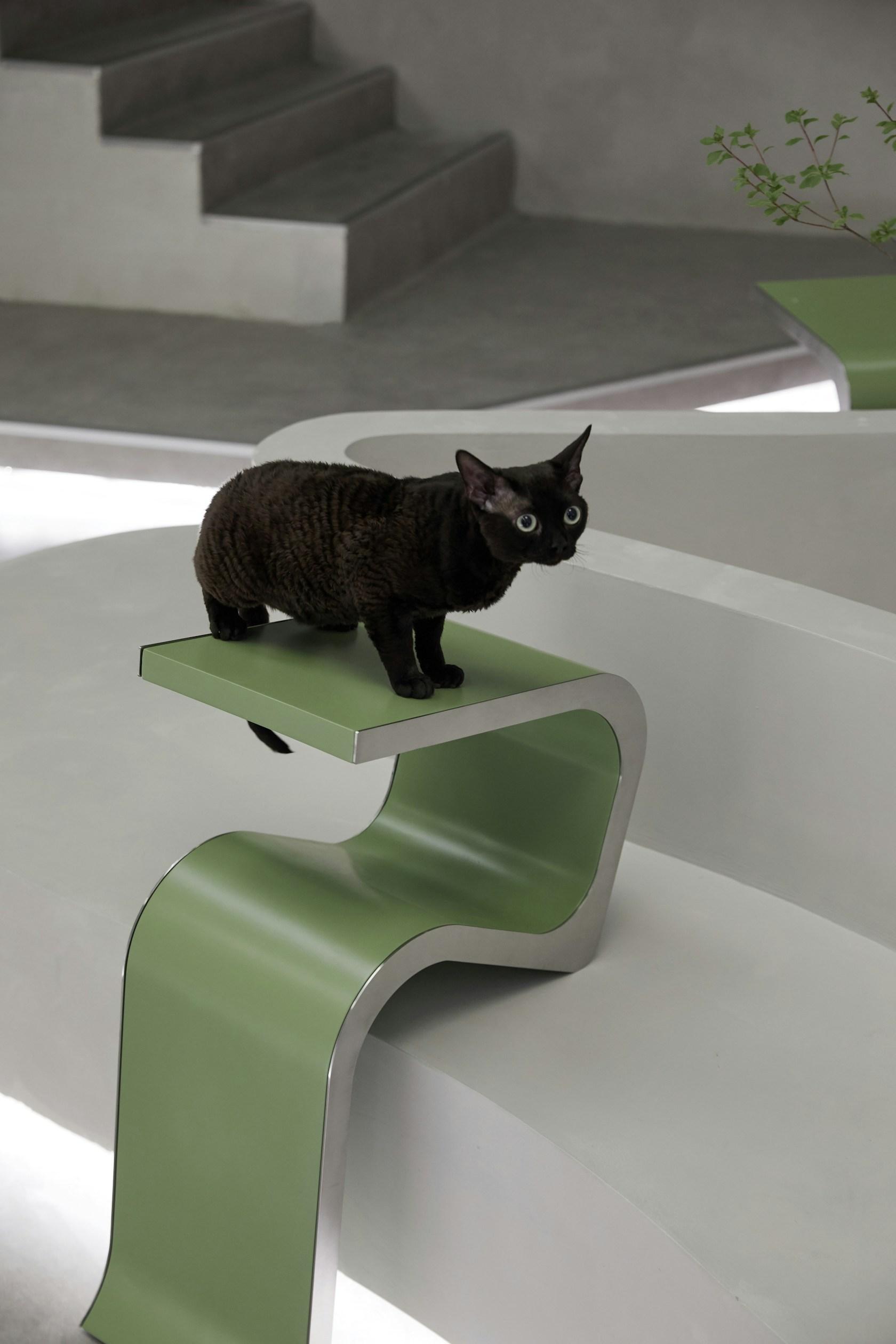 Springfield Pet Hospital - image 28