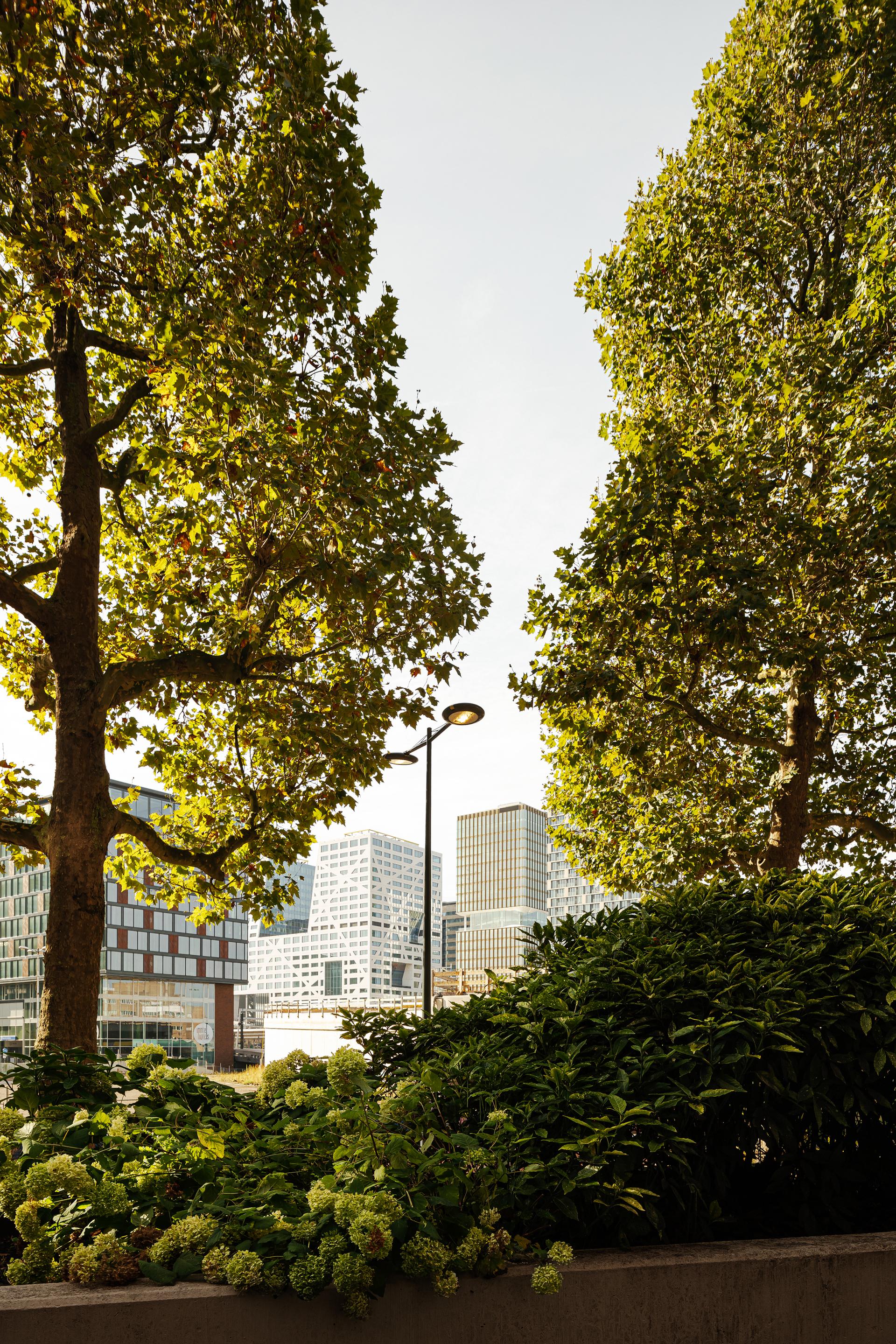 Central Park - image 15