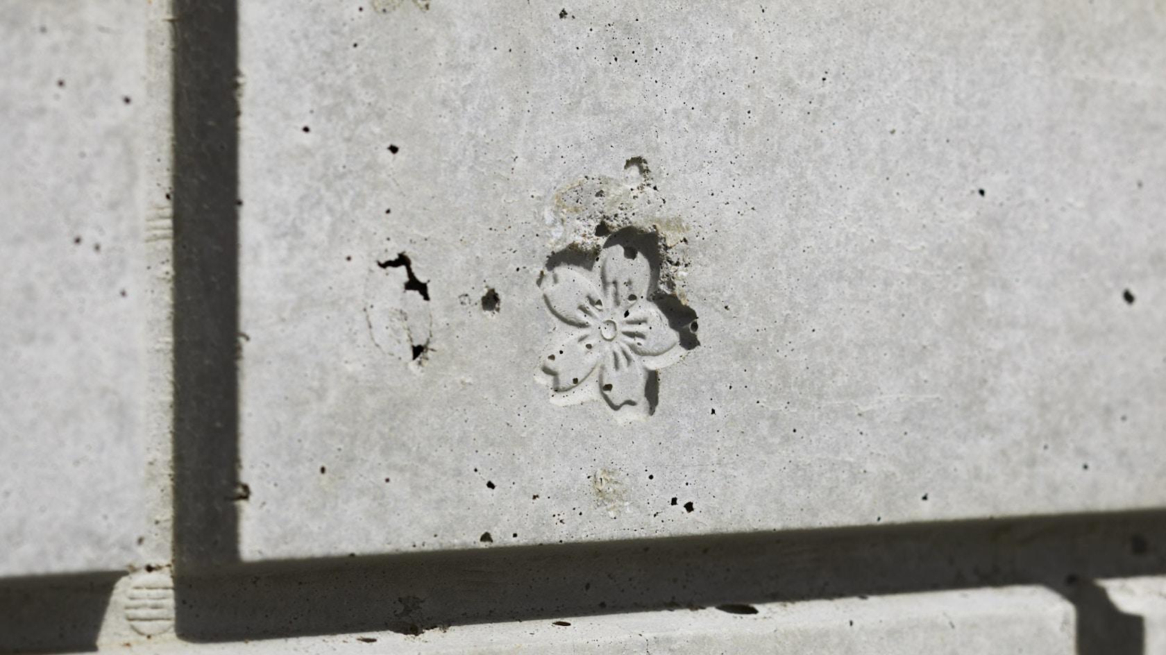 THE AXIS OF PEACE - image 11