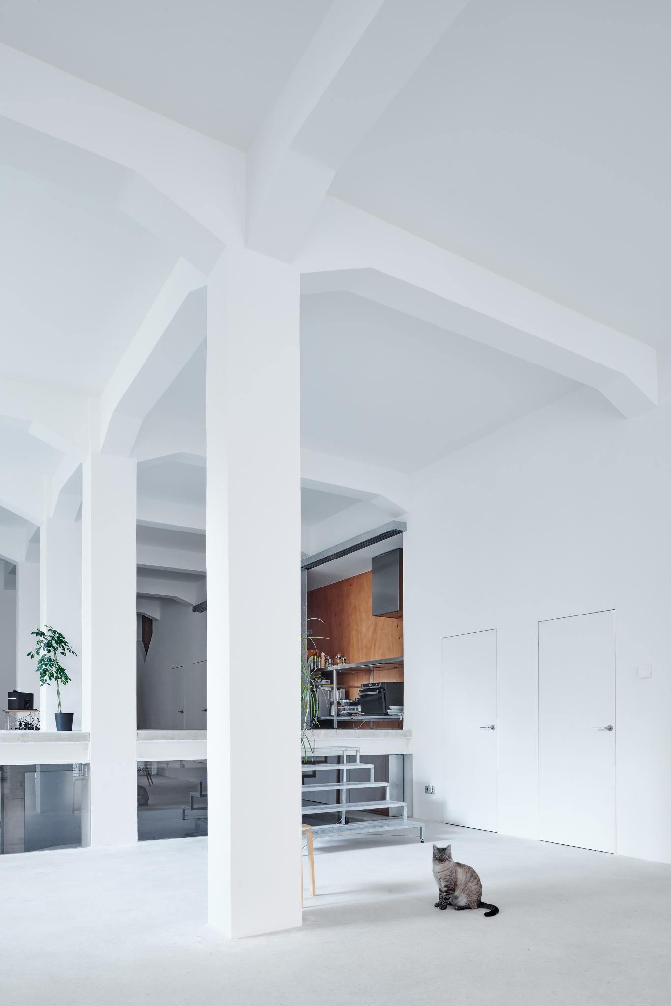 Loft A - image 8